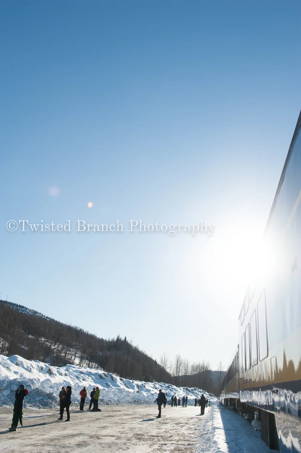 81_Twisted_Branch_Photography_DSC_9968.jpg