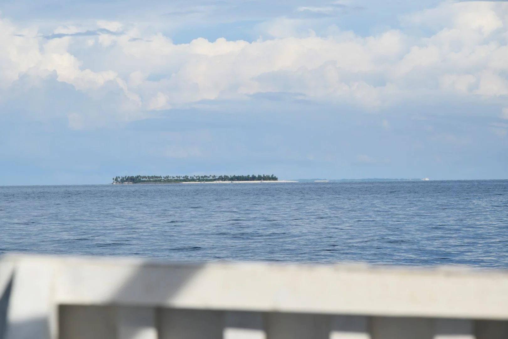 _DSC0850 (Large).JPG