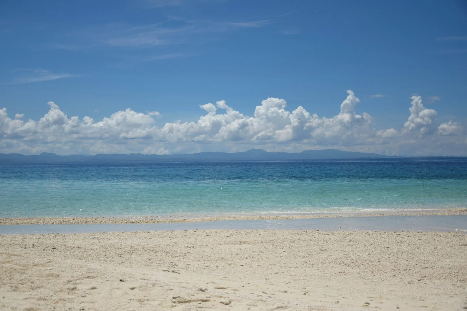 _DSC0876 (Large).JPG