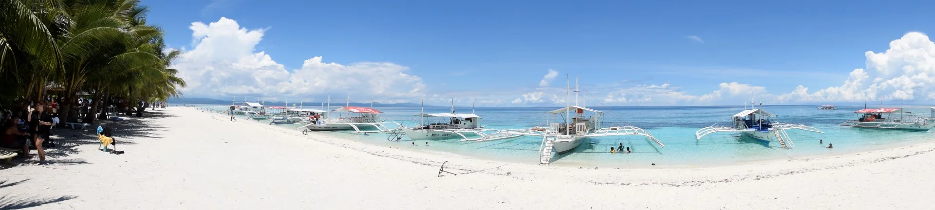 _DSC0919 (Large).JPG