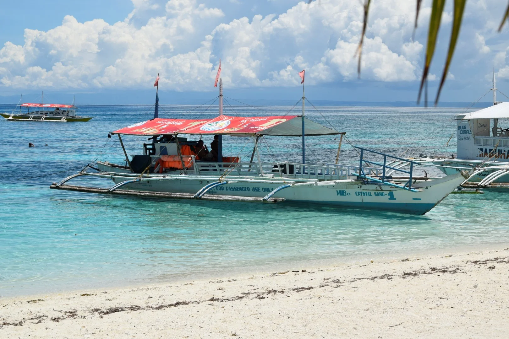 _DSC0926 (Large).JPG