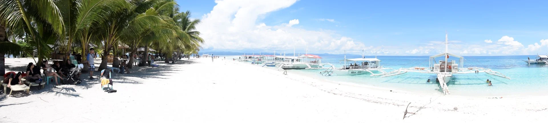 _DSC0956 (Large).JPG