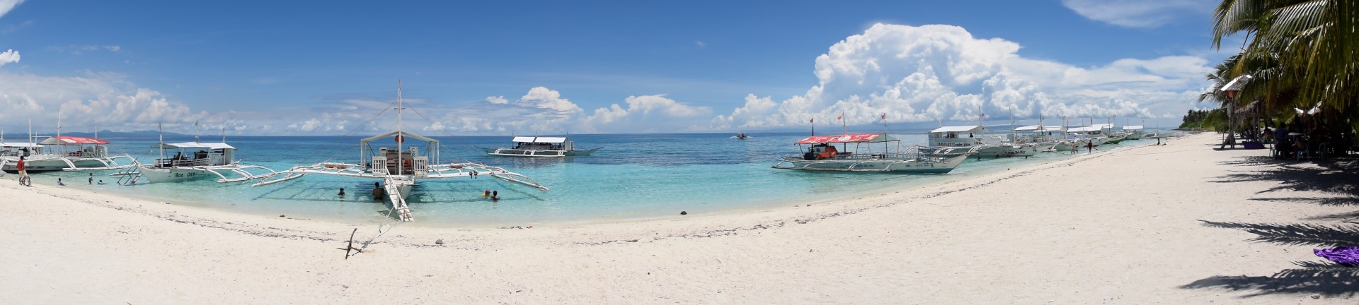 _DSC0958 (Large).JPG