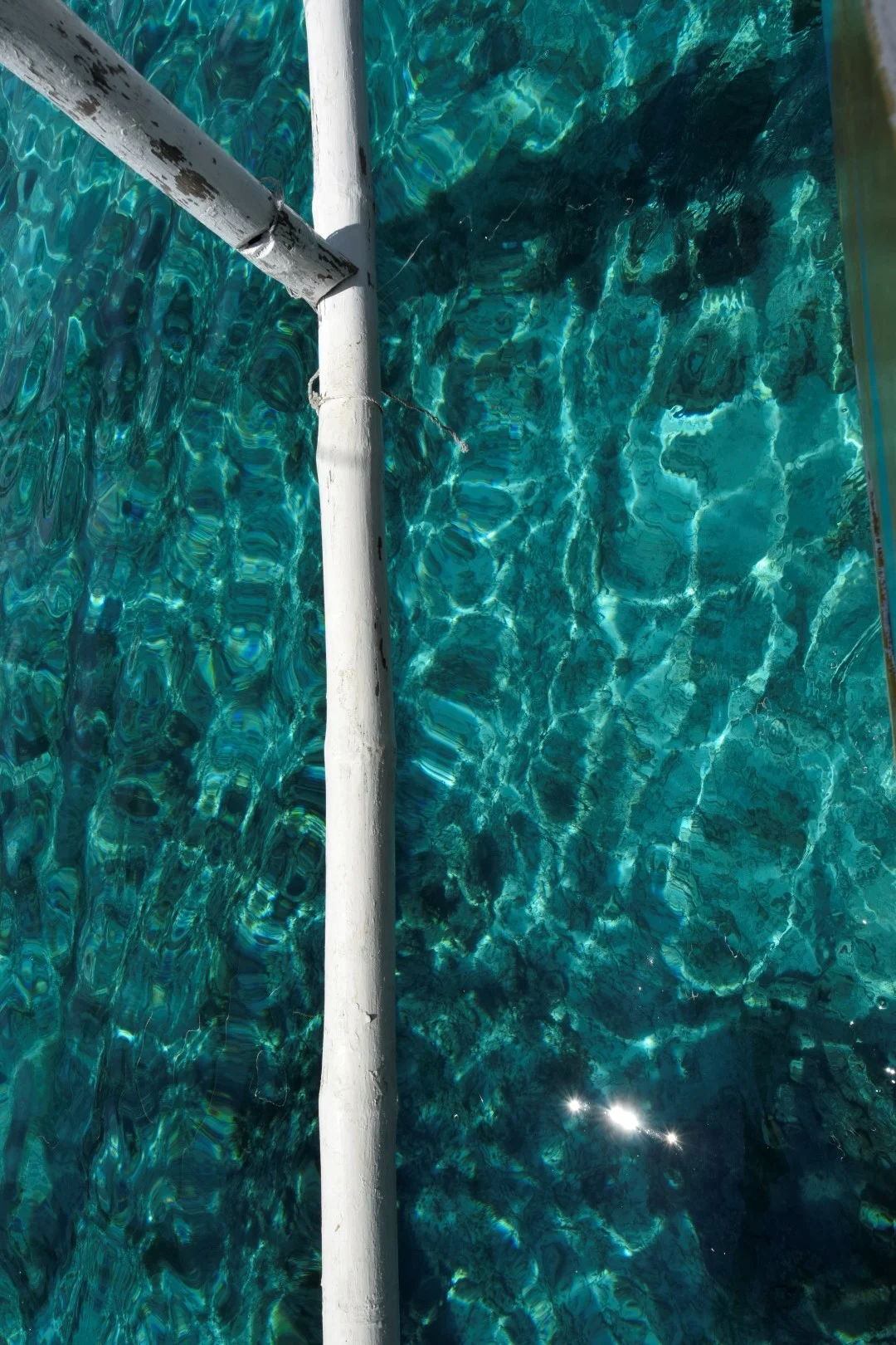 _DSC0996 (Large).JPG