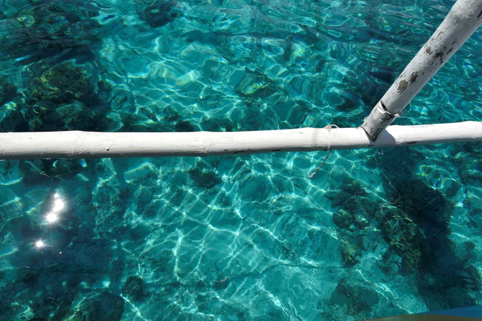 _DSC0997 (Large).JPG