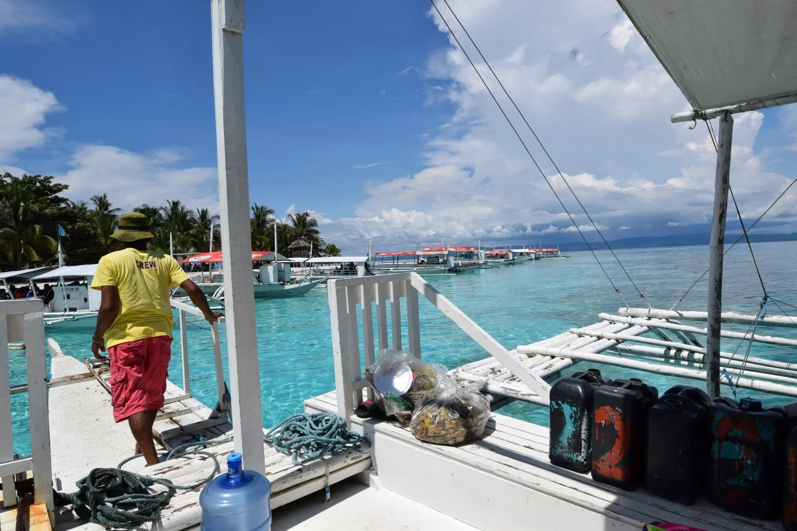 DSC_0989 (Large).JPG