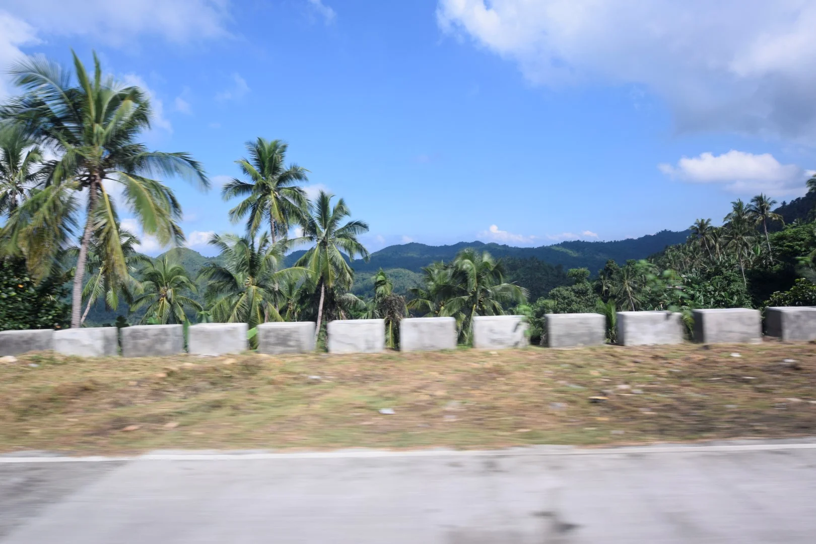 _DSC0407 (Large).JPG