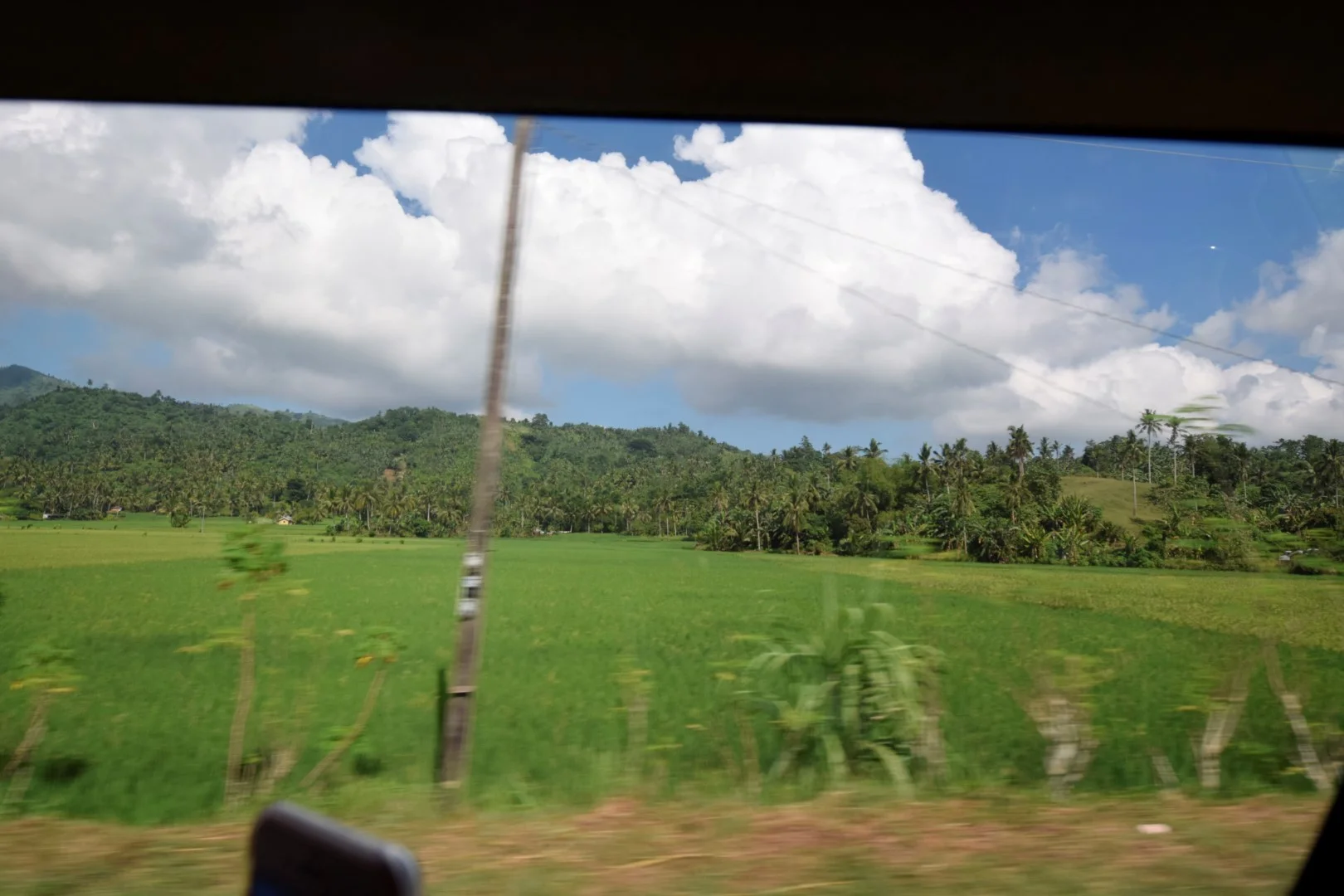 _DSC0408 (Large).JPG