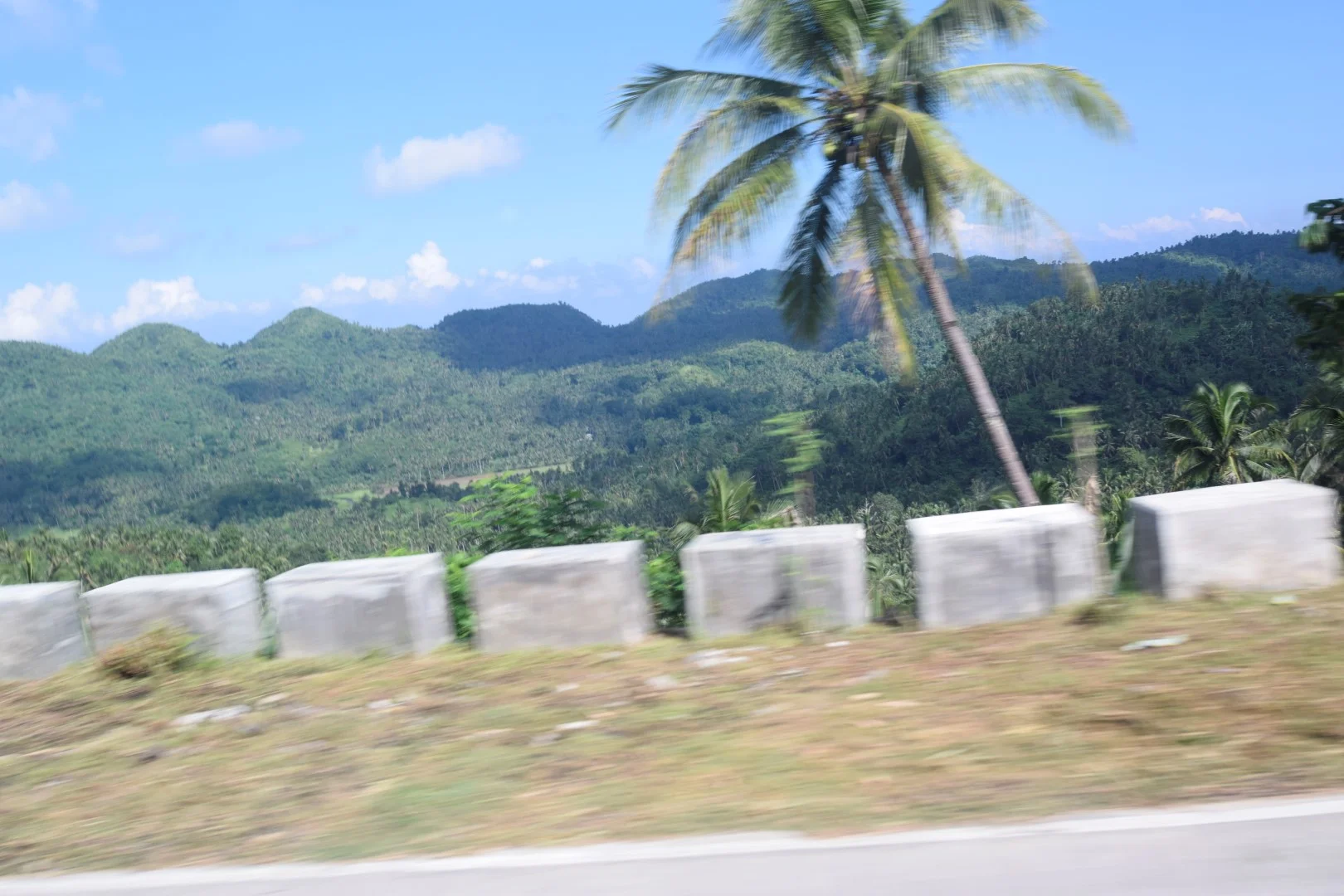 _DSC0406 (Large).JPG