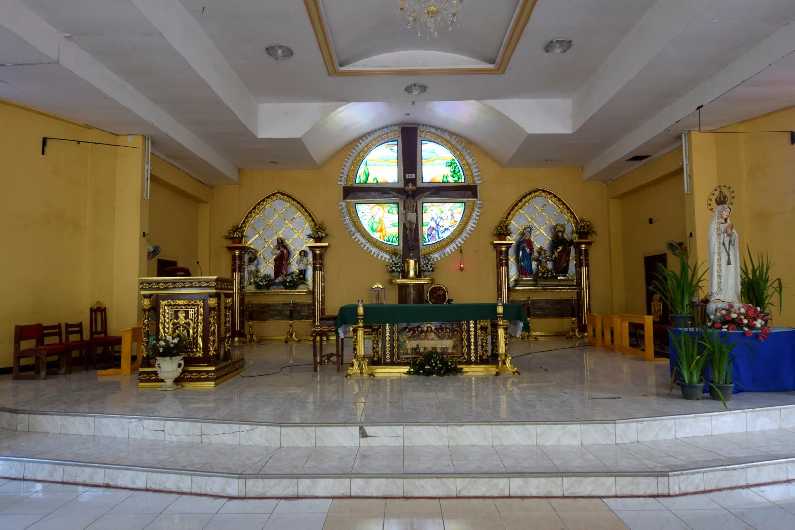 _DSC0413 (Large).JPG