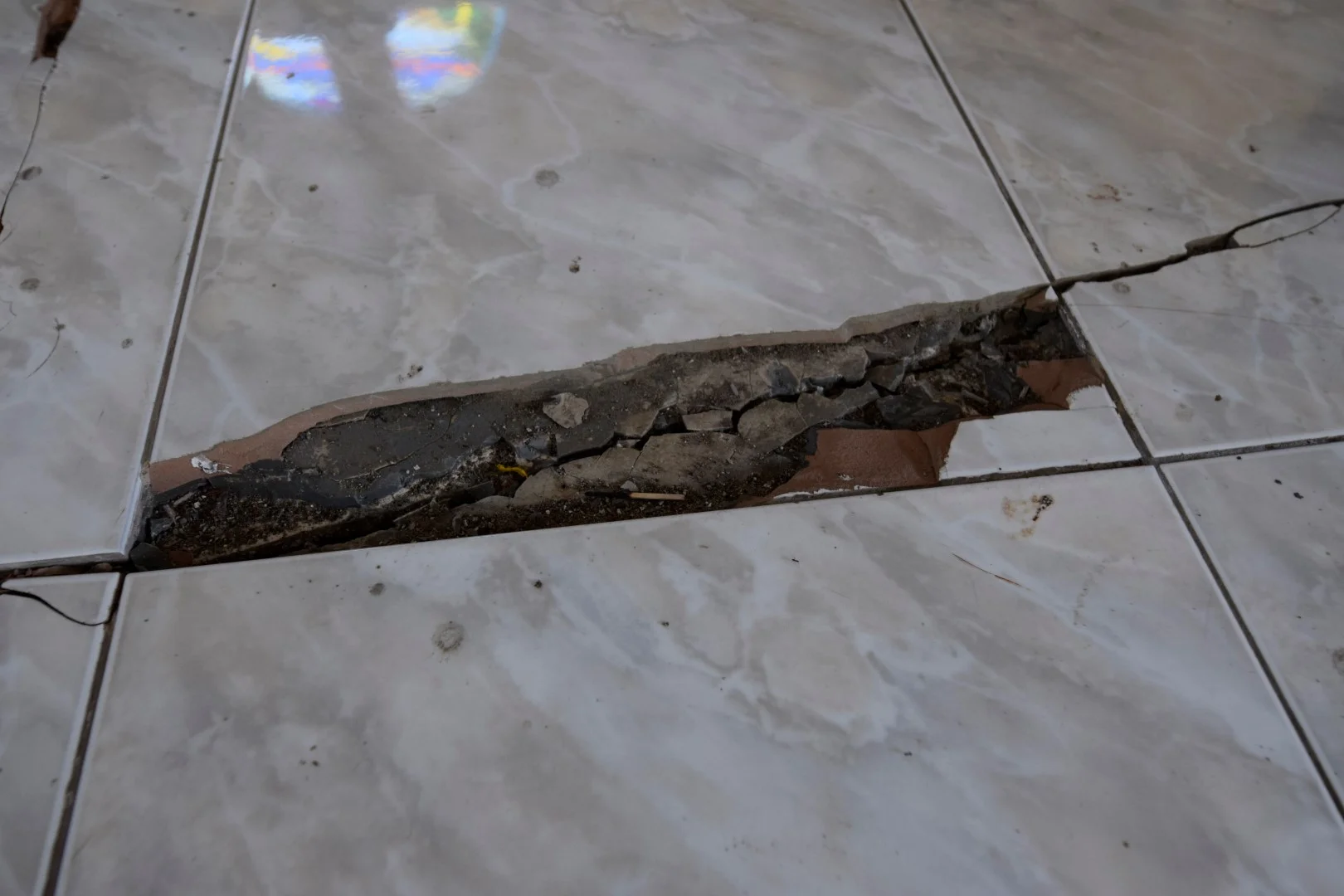 _DSC0415 (Large).JPG