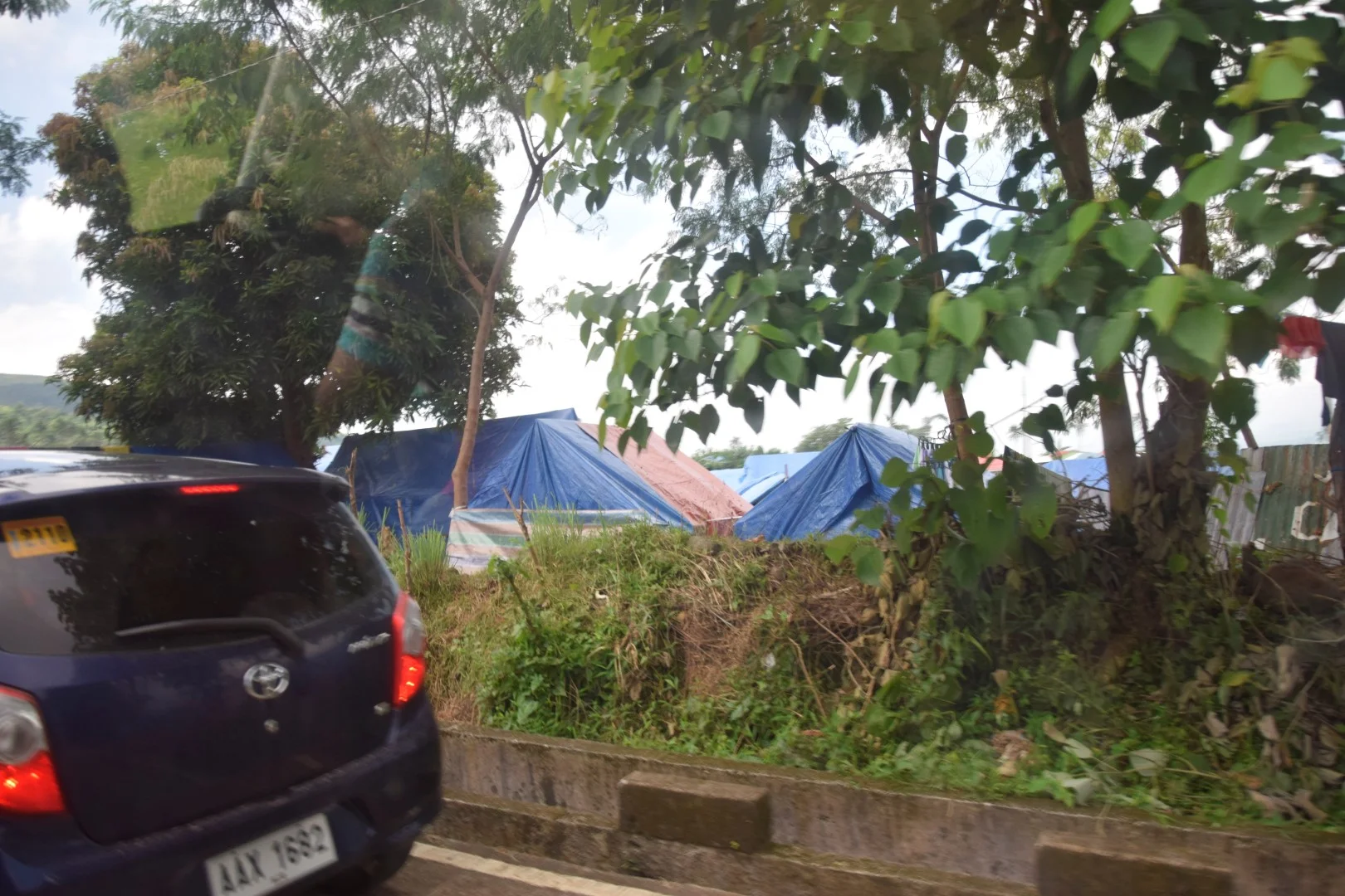 _DSC0423 (Large).JPG