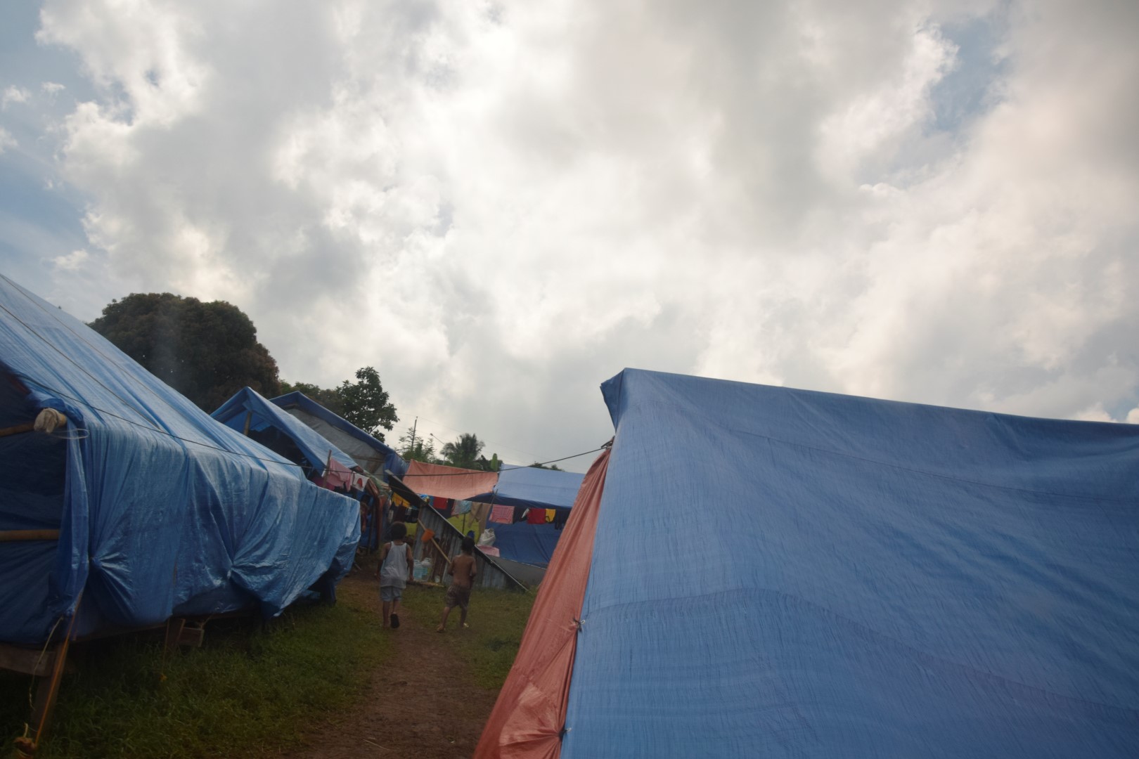 _DSC0433 (Large).JPG