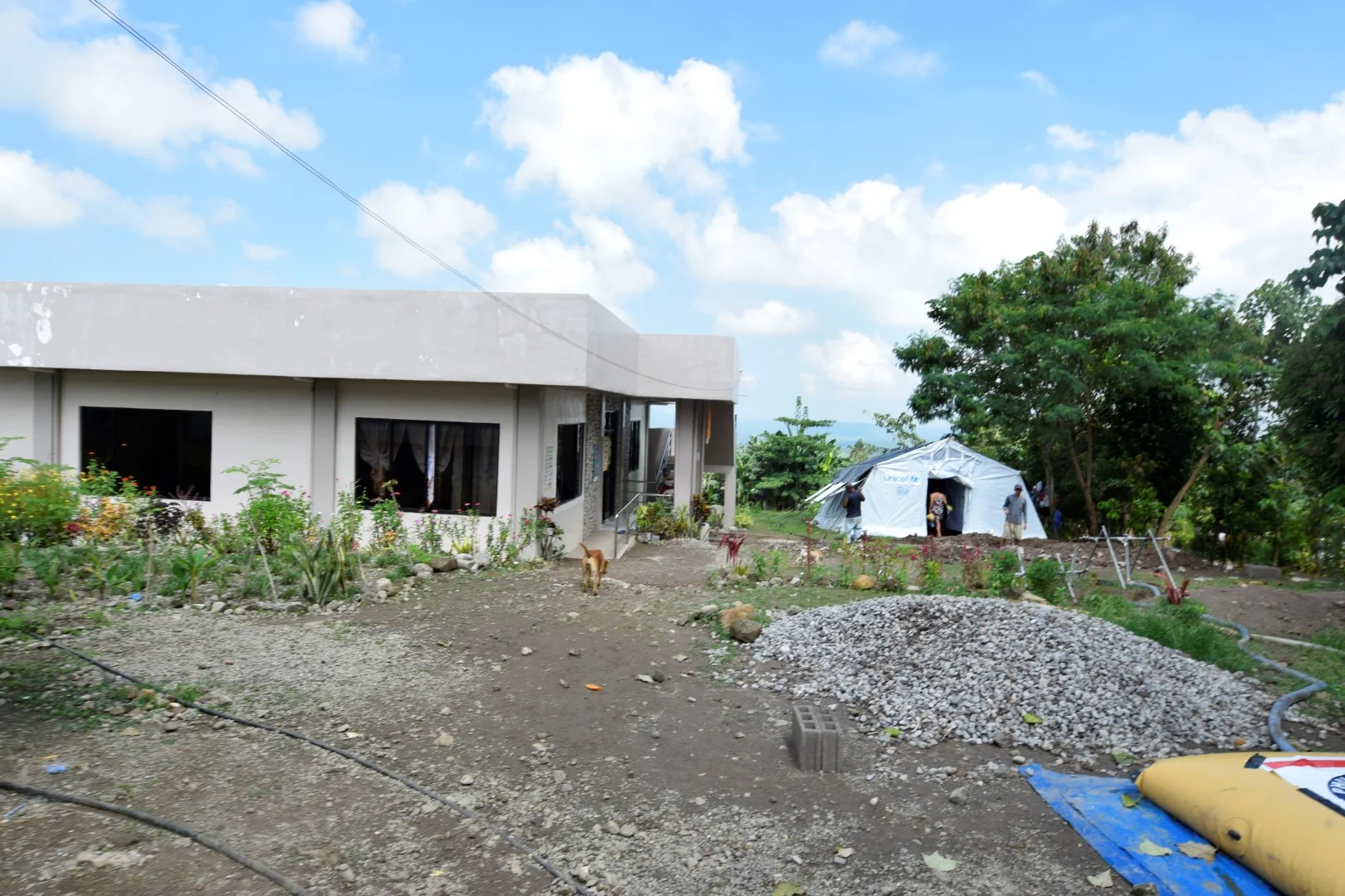 _DSC0492 (Large).JPG