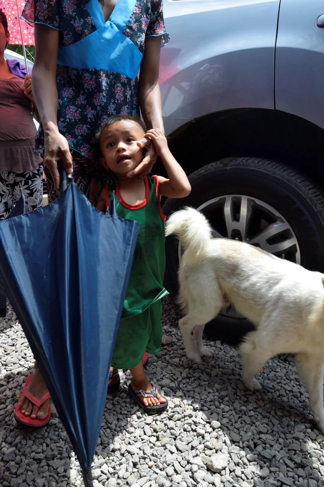 _DSC0523 (Large).JPG