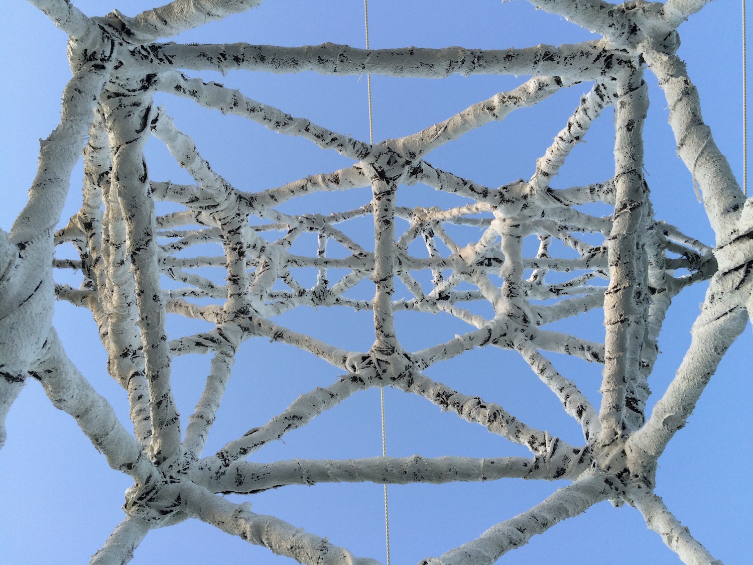 ON LINE An installation on Oakwilde Ranch made from rope, jute, resin, wood, steel, and telephone receiver 120' long On Line is a site-specific installation mostly made of rope, burlap, and resin. The overhead power line structure component came to me while driving through the California Delta. I am struck by the incidental beauty of these structures, utilitarian yet majestic, carrying swooping lines across expanses of landscape. This installation focuses on a primal artistic element, line. Sometimes rope is also referred to as "line." Here, rope makes a connection between technological modes of human communication and the capacity of art as a communicator of ideas. Since a tree is the source, we are brought full circle back to a question: Why am I conversing with an oak tree? 2016