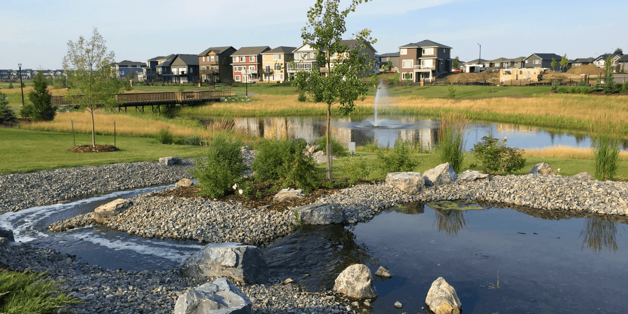 edmonton-community-focus-rosenthal-featured-image-1280x640.png