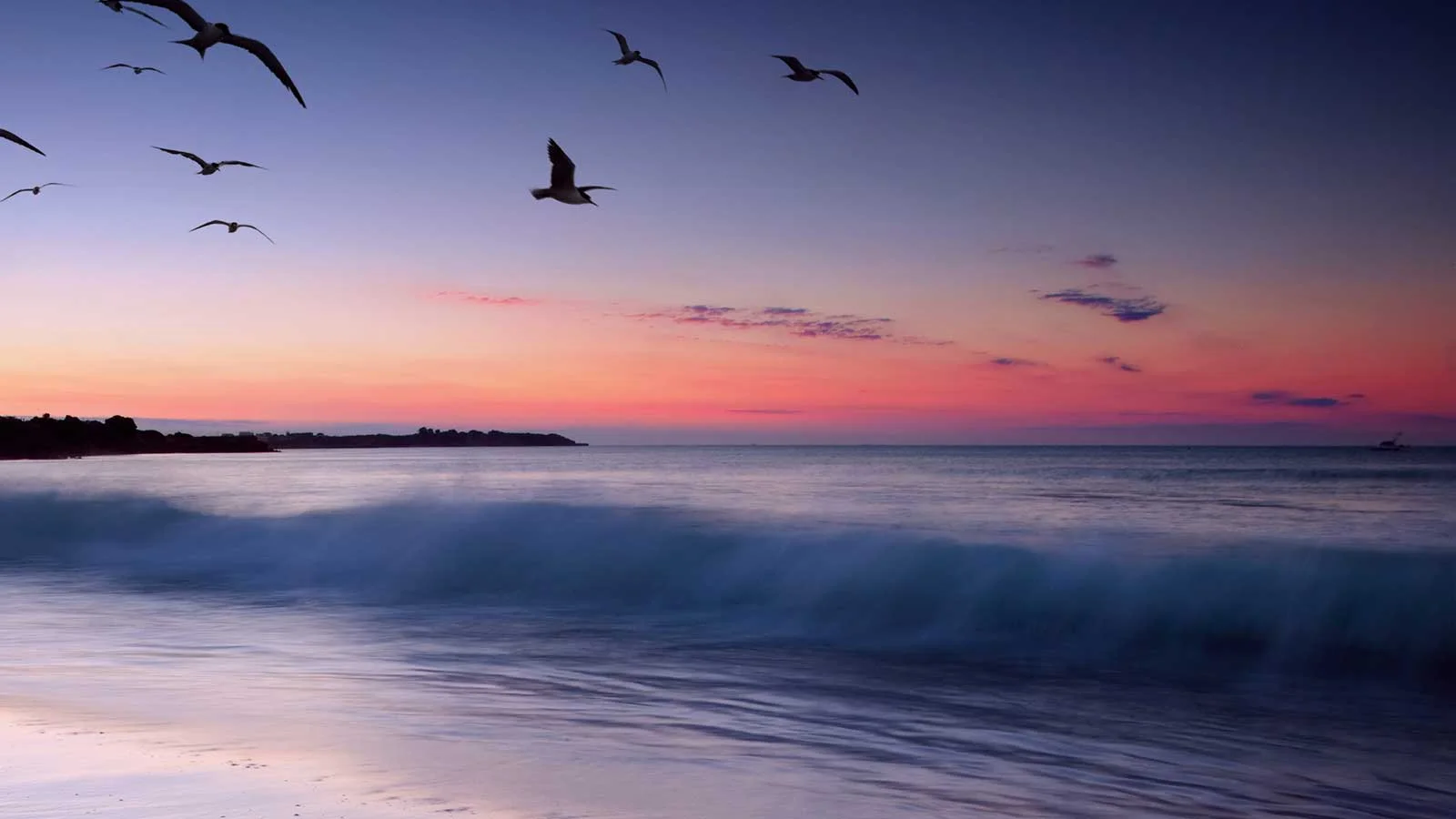 video-BG-bribie6.jpg
