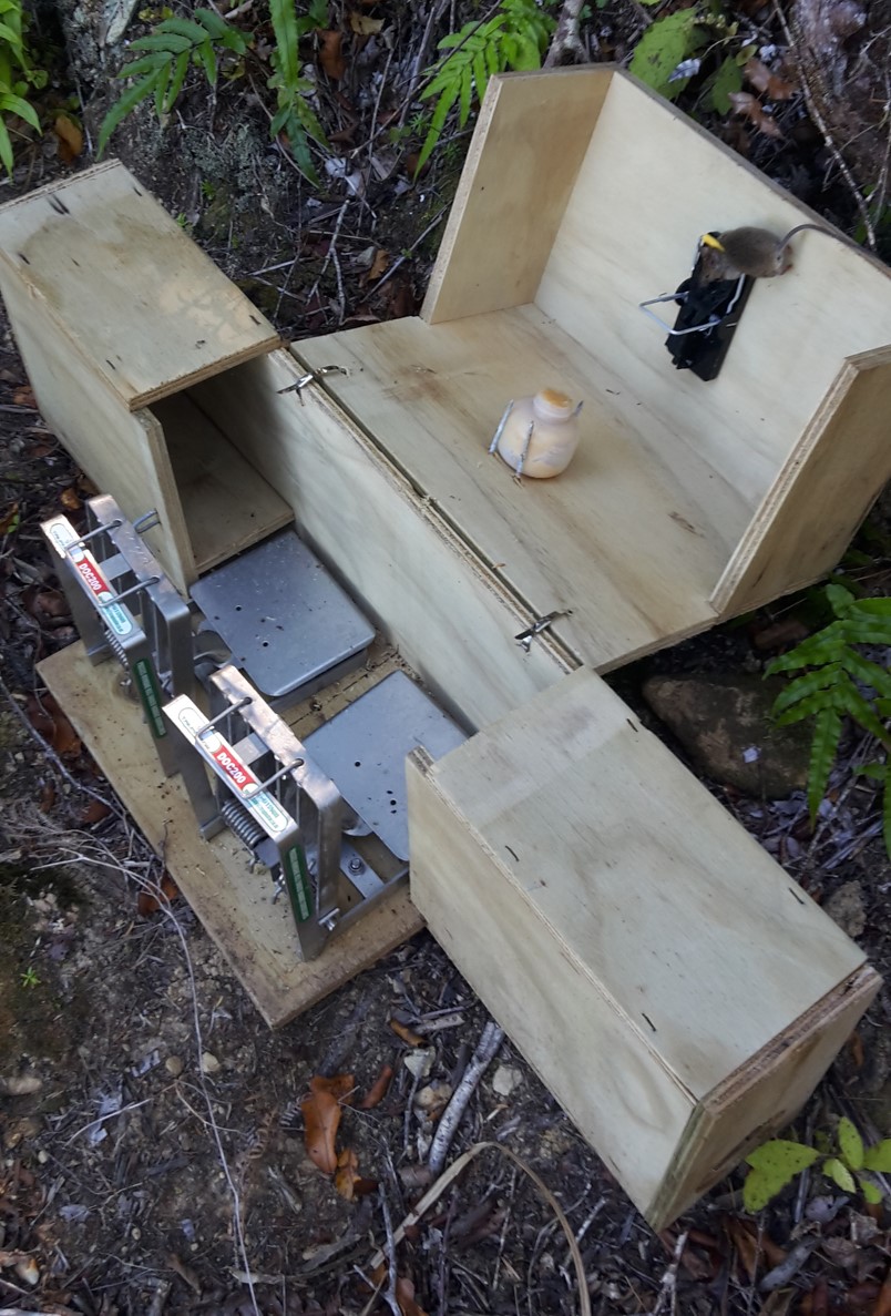 TUN200 trap box with mouse trap
