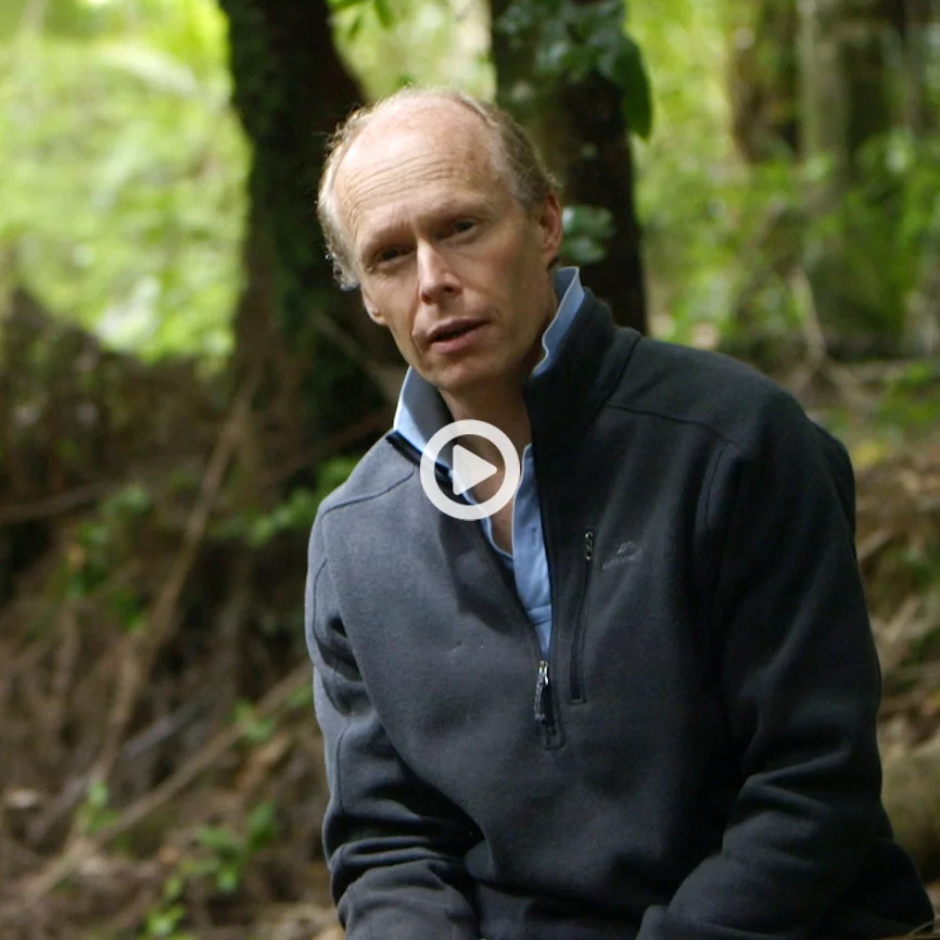 ZIPping the mainland