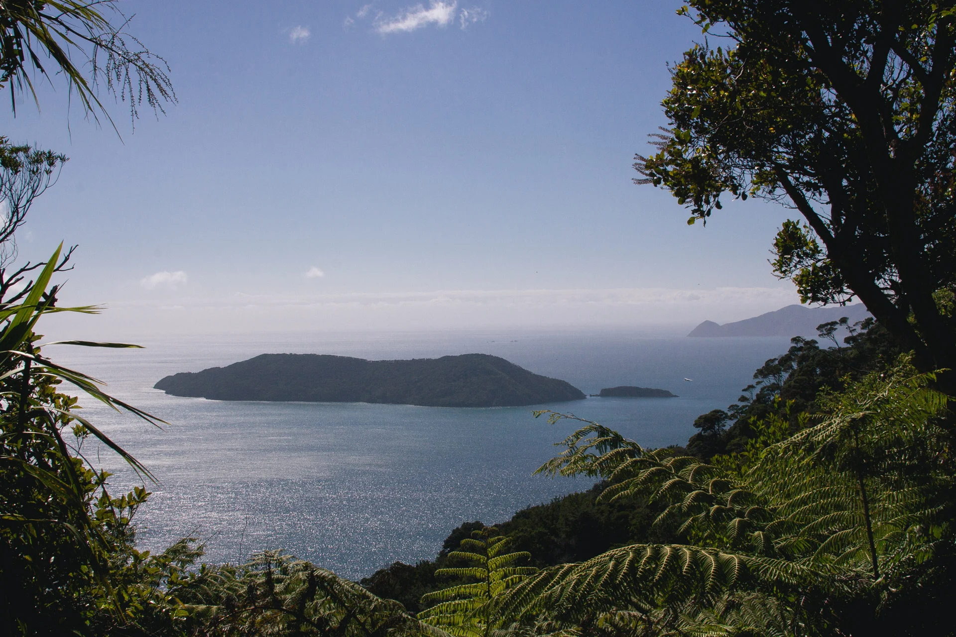 View of Motuara Island from saddle lookout on Queen Charlotte Track/ D3.