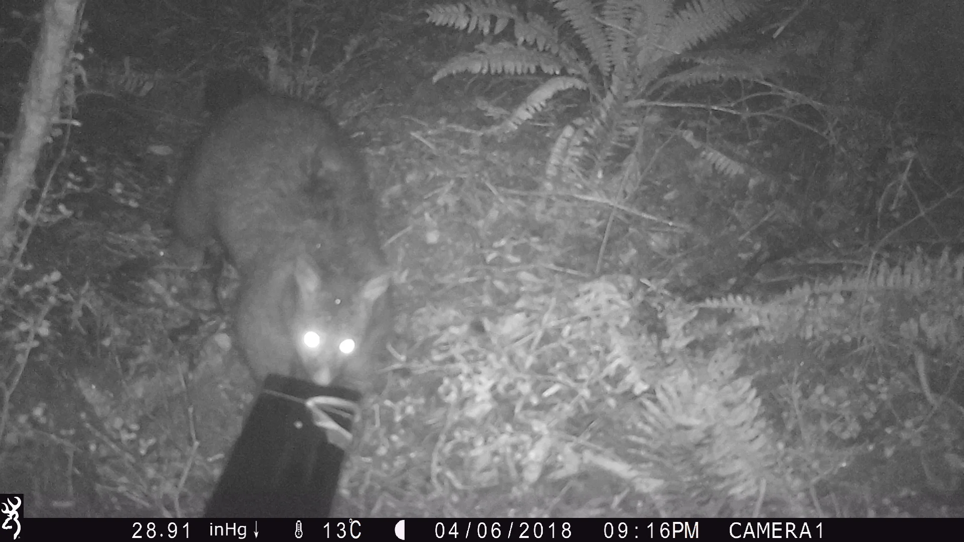 Update on Perth Valley Project - results of pre-operational monitoring