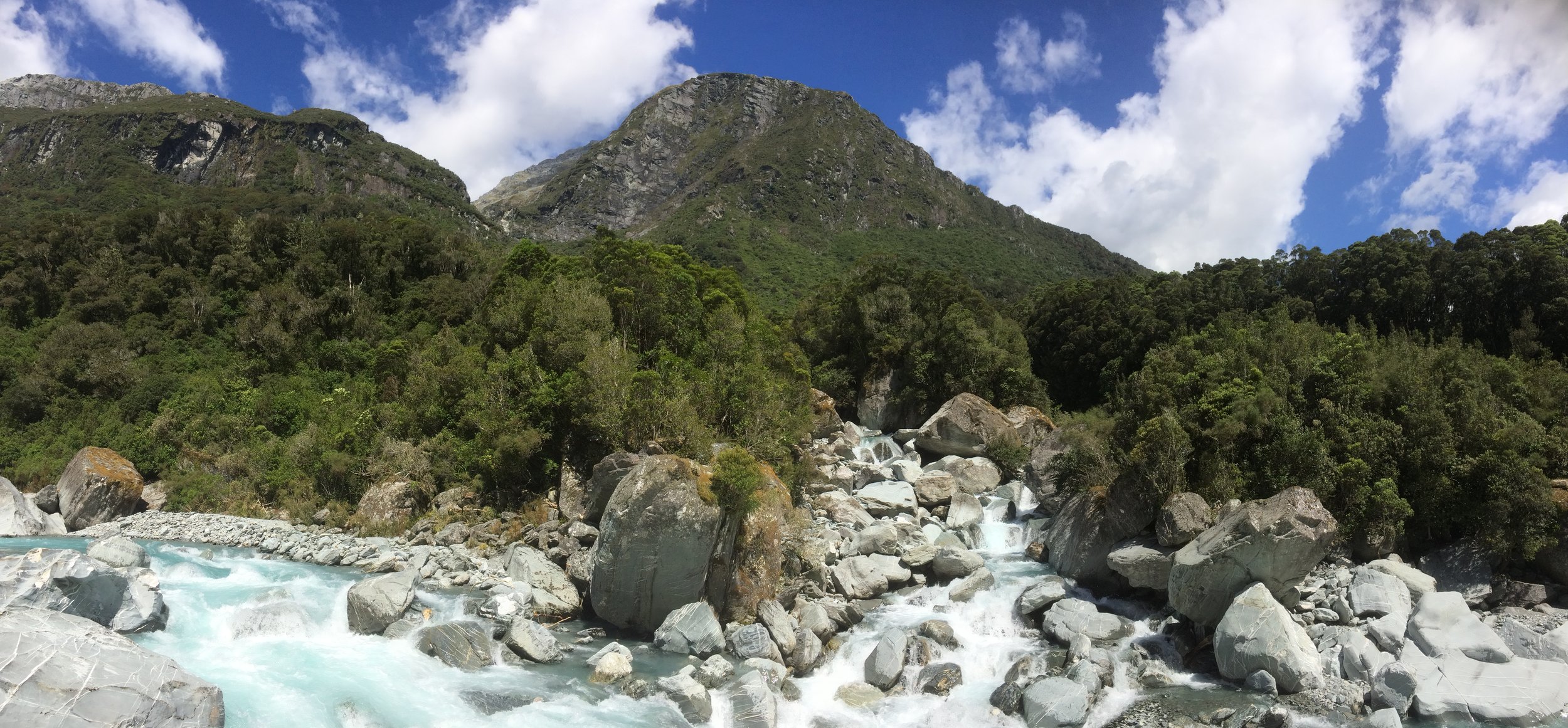 Investigating the potential options to repel possums, rats and stoats - a literature review