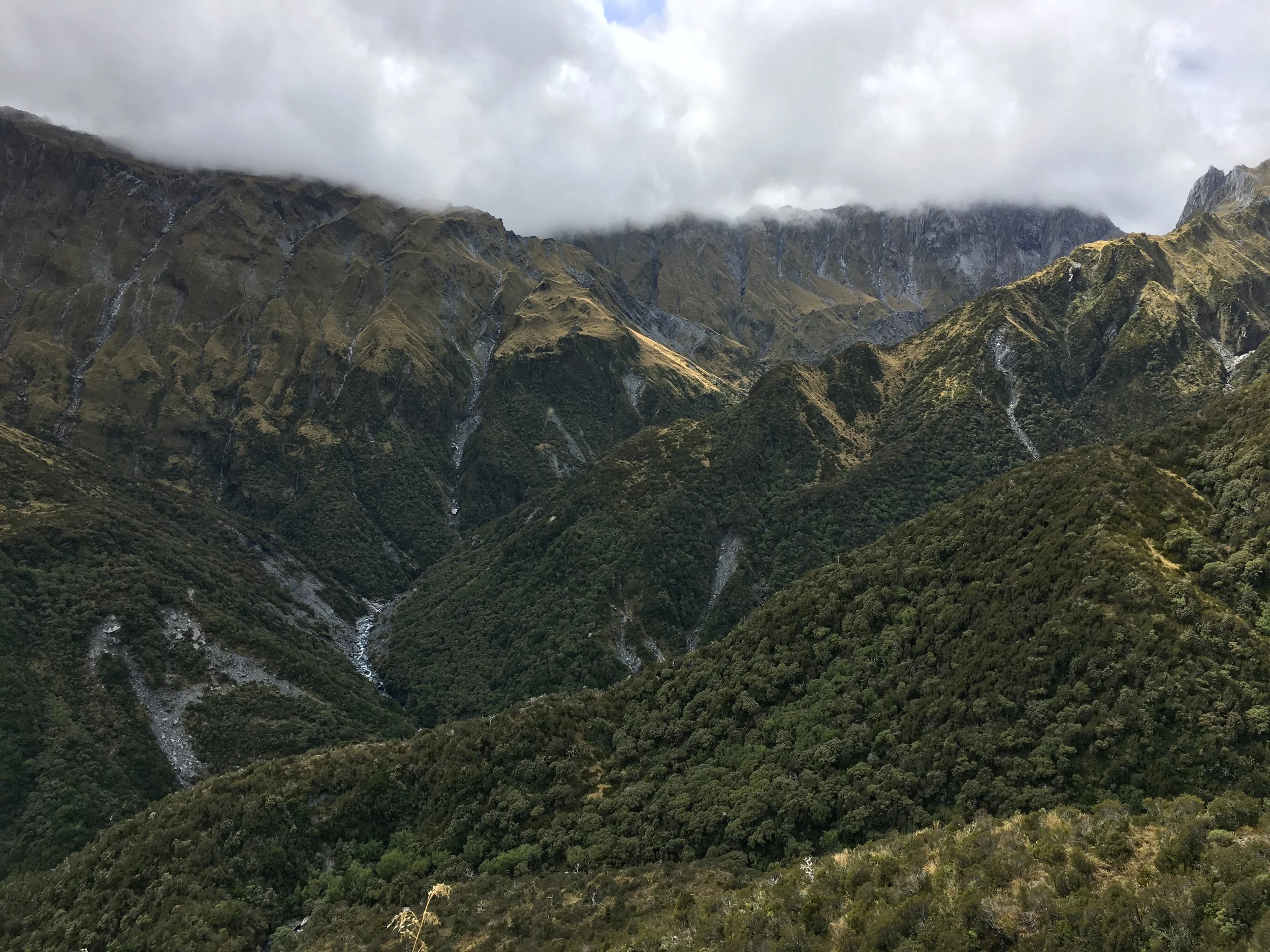 Update on Perth River Valley Predator Removal Operation – Phase One Completed