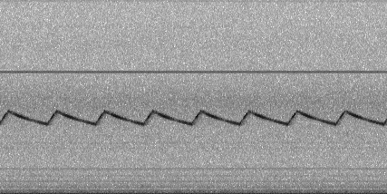 Testing the potential of sound as a deterrent of ship rats