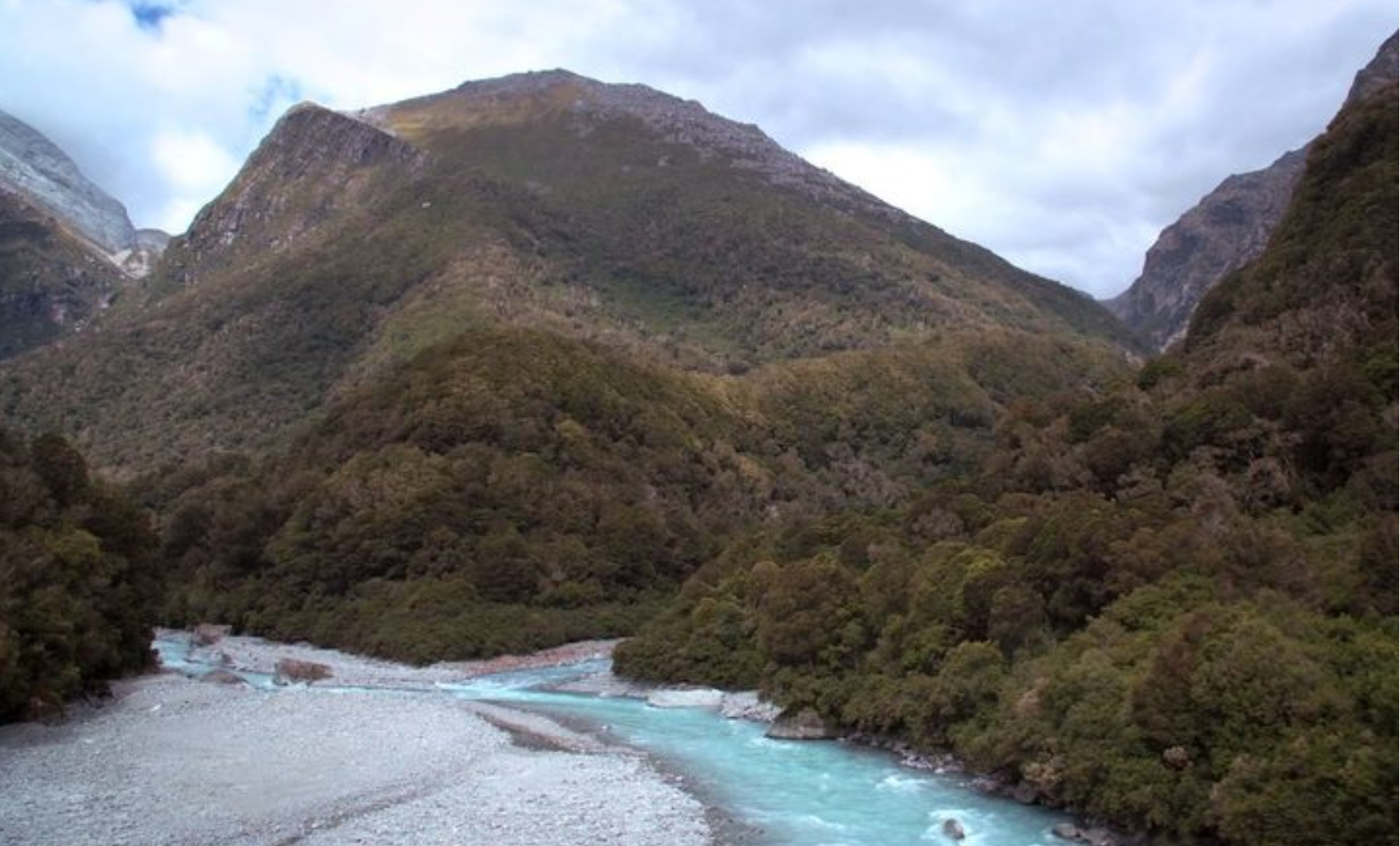 Massive high-tech pest control operation in Perth Valley declared a success