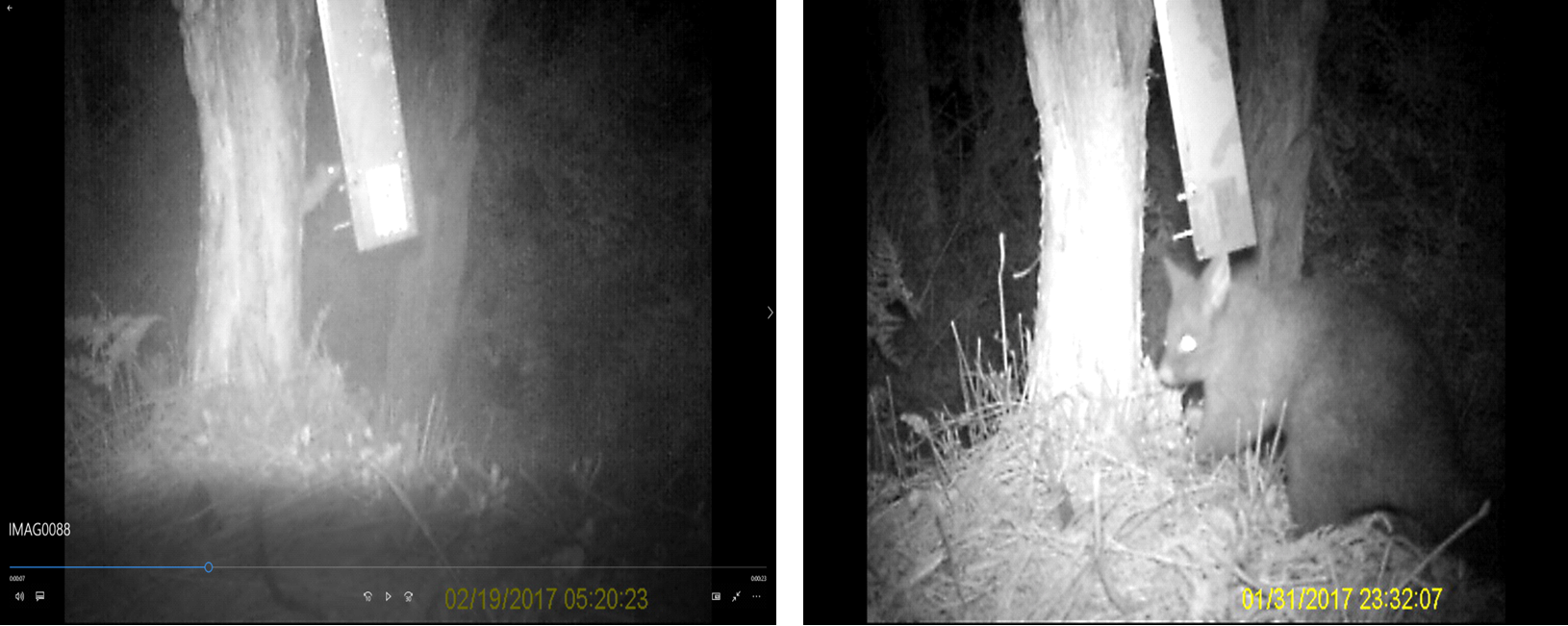 Technical Report #2: Automated Food Lure Dispenser