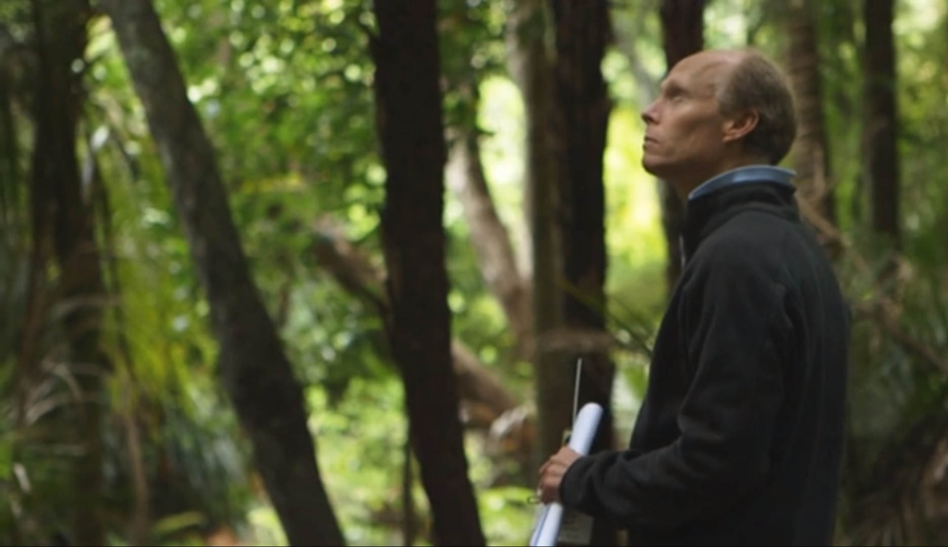 NEXT Foundation - ZIP - 2014