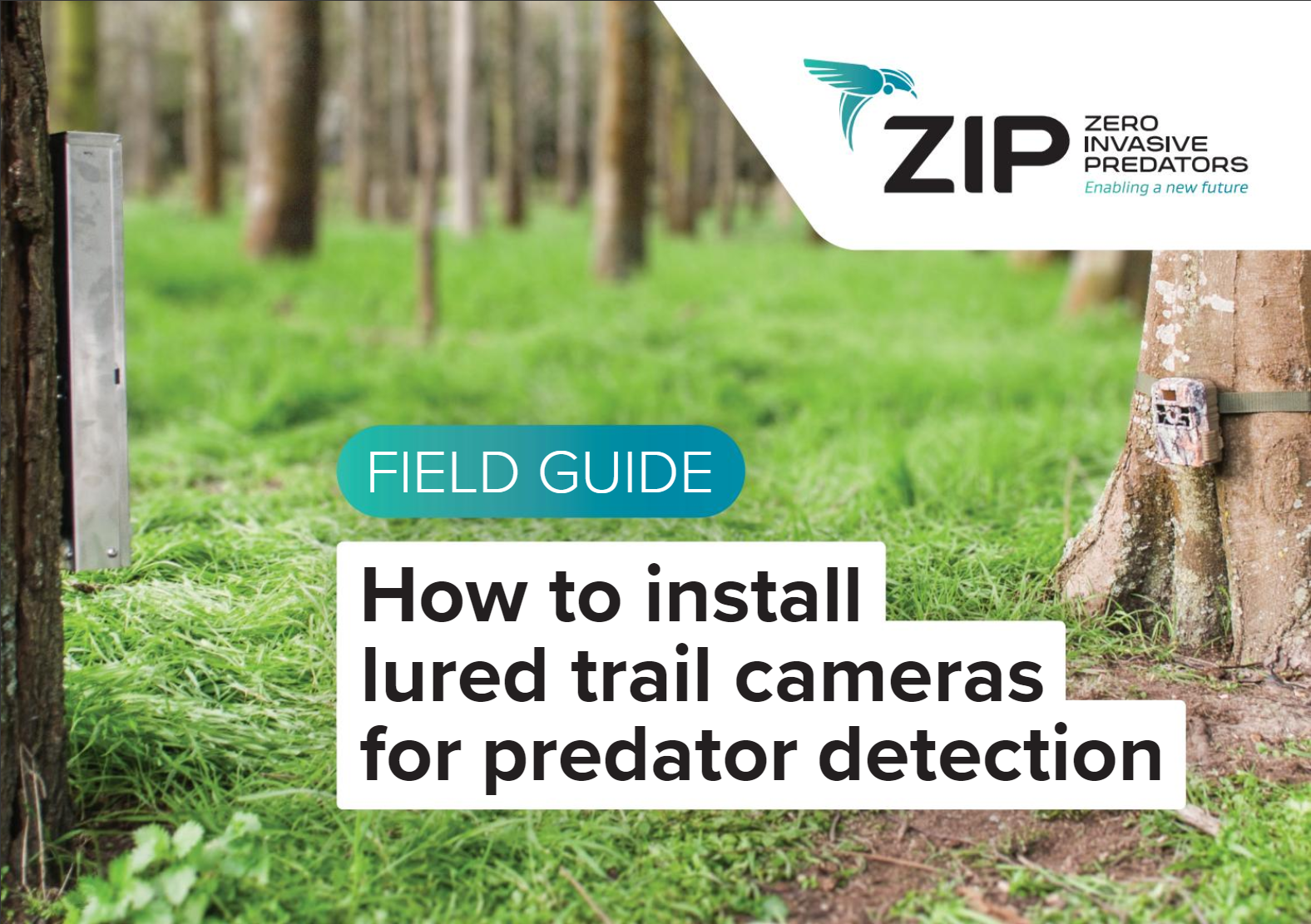 Field Guide: How to install lured trail cameras for predator detection