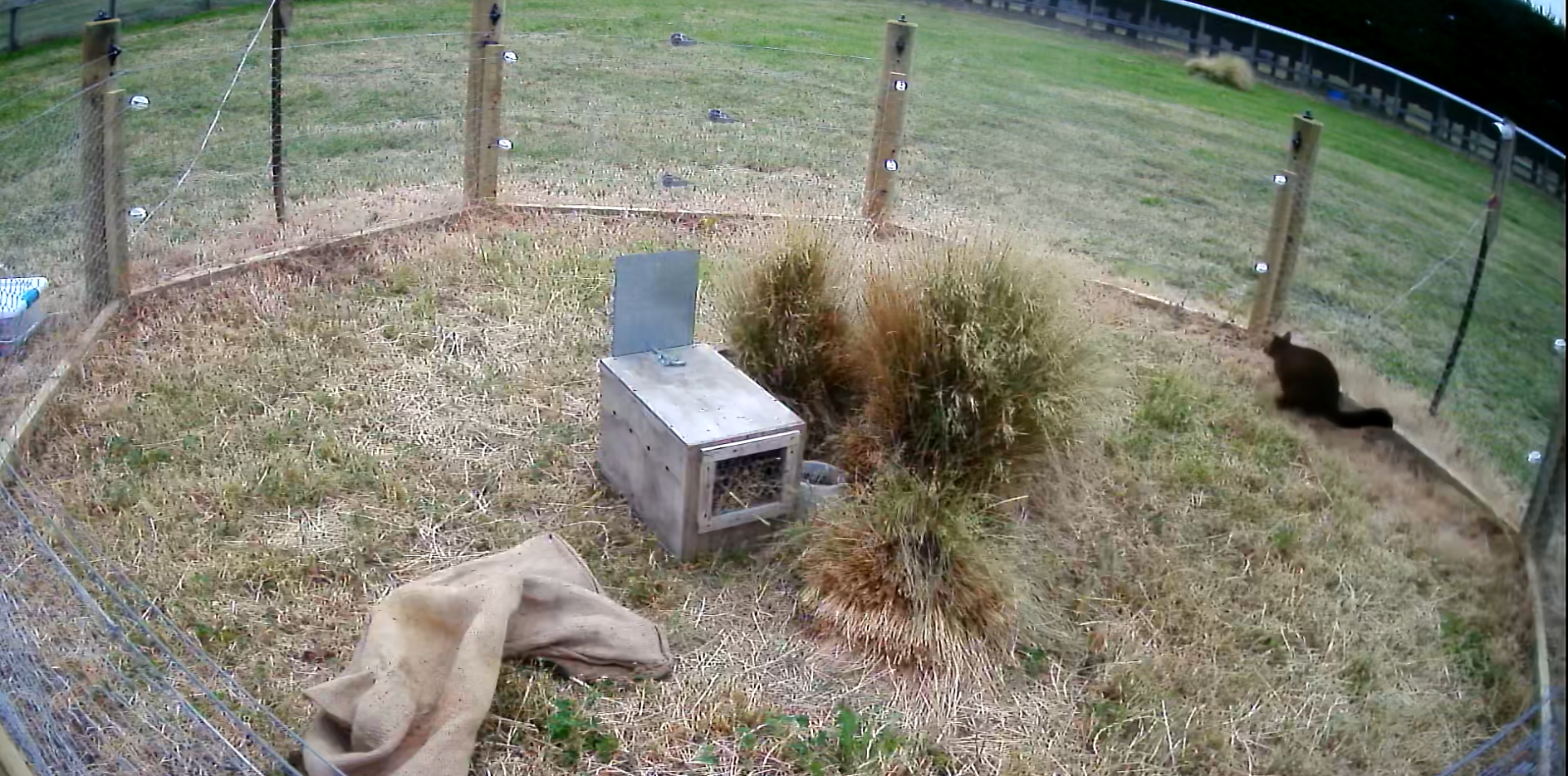 Testing a modified electric farm fence as a possum-specific barrier