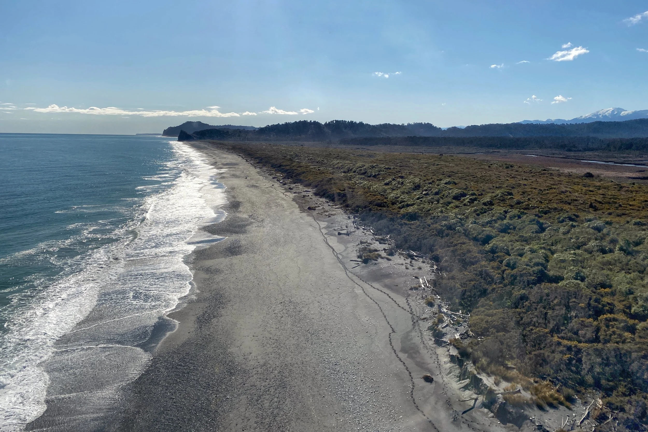 Phase 1 predator elimination  operation being completed in the South Ōkārito block 