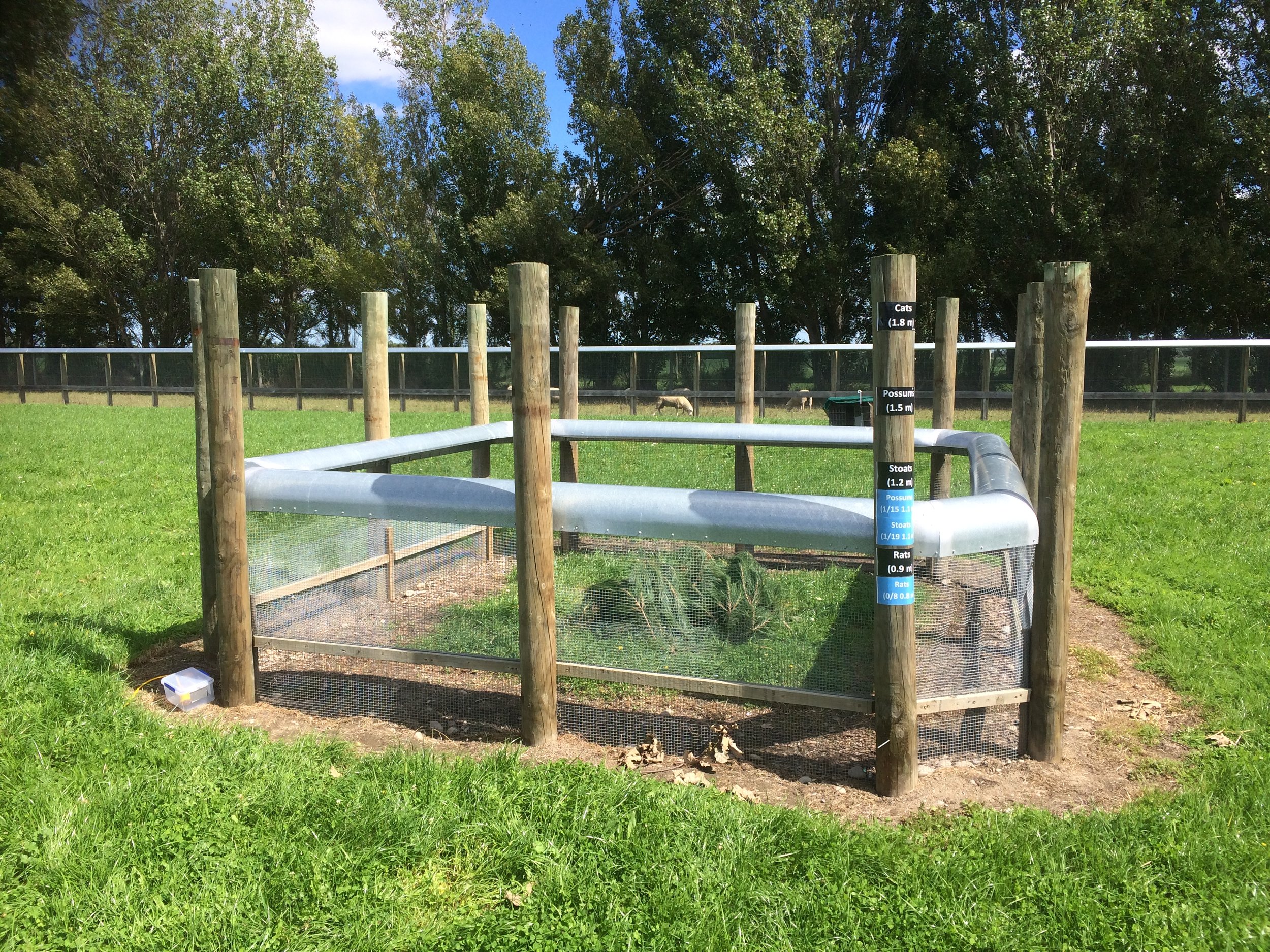 Fencing In Auckland