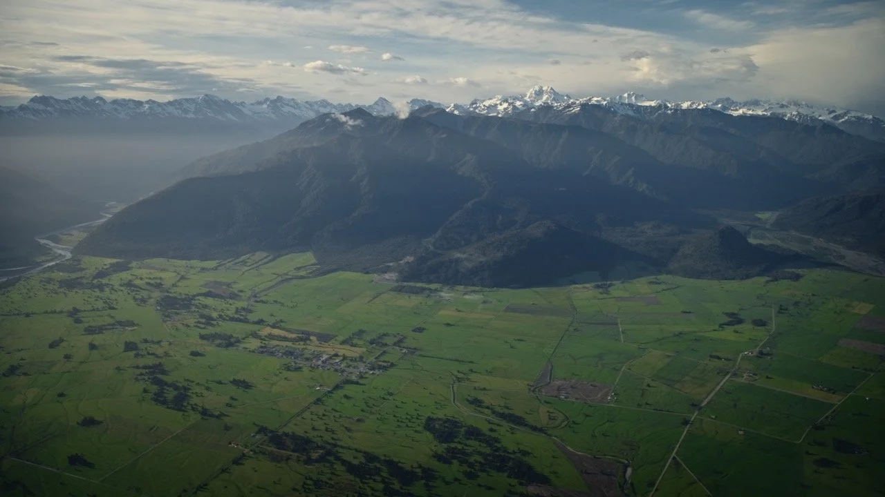 Predator Free South Westland project
