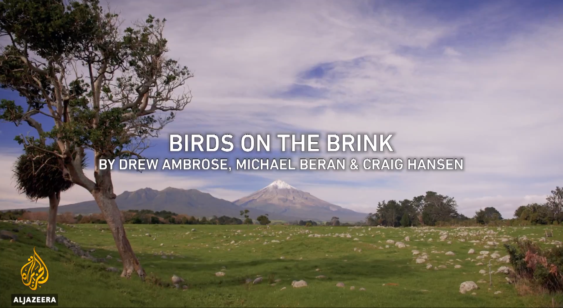 Can New Zealand Save its Birds from Extinction?