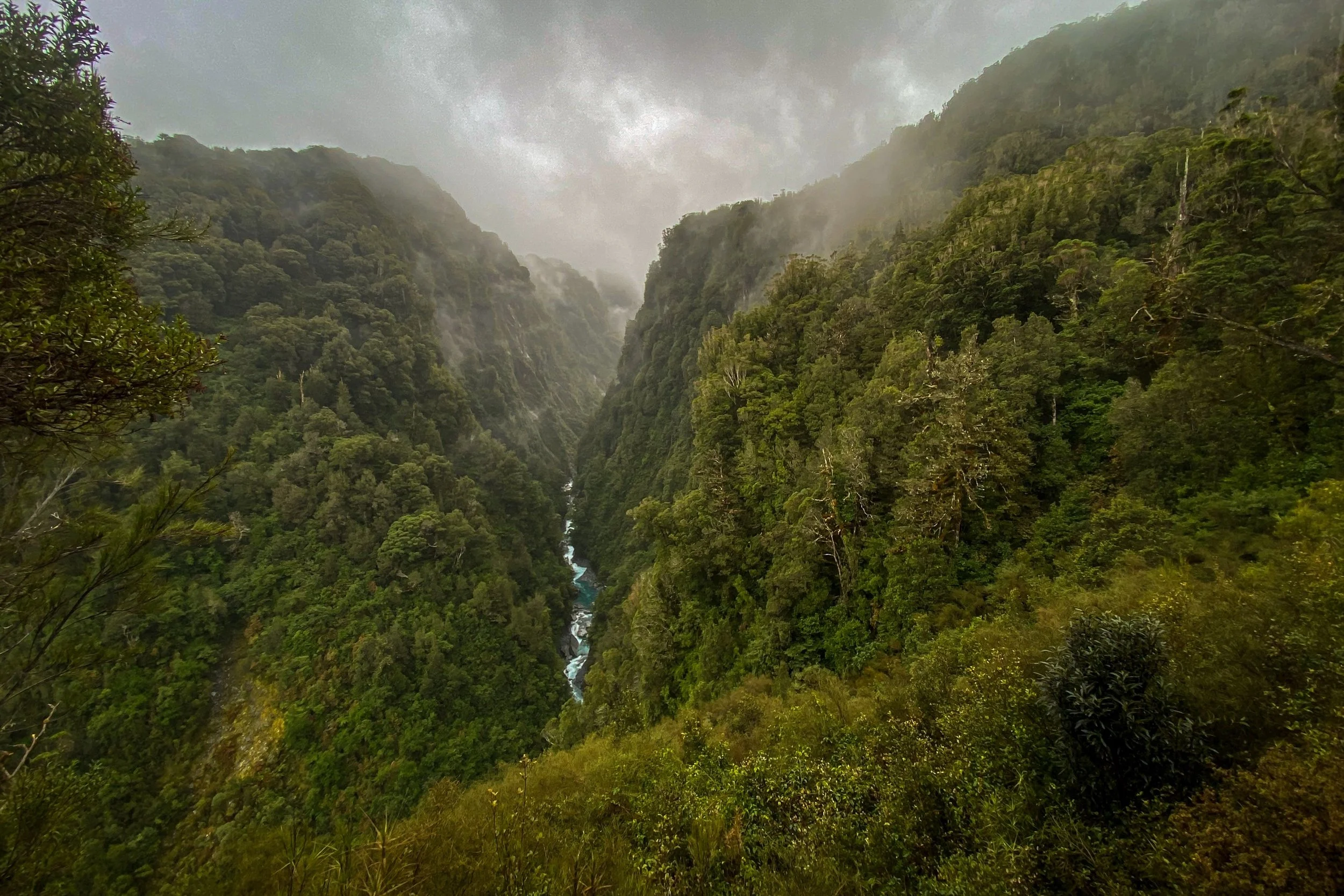 GIS and Data Analyst