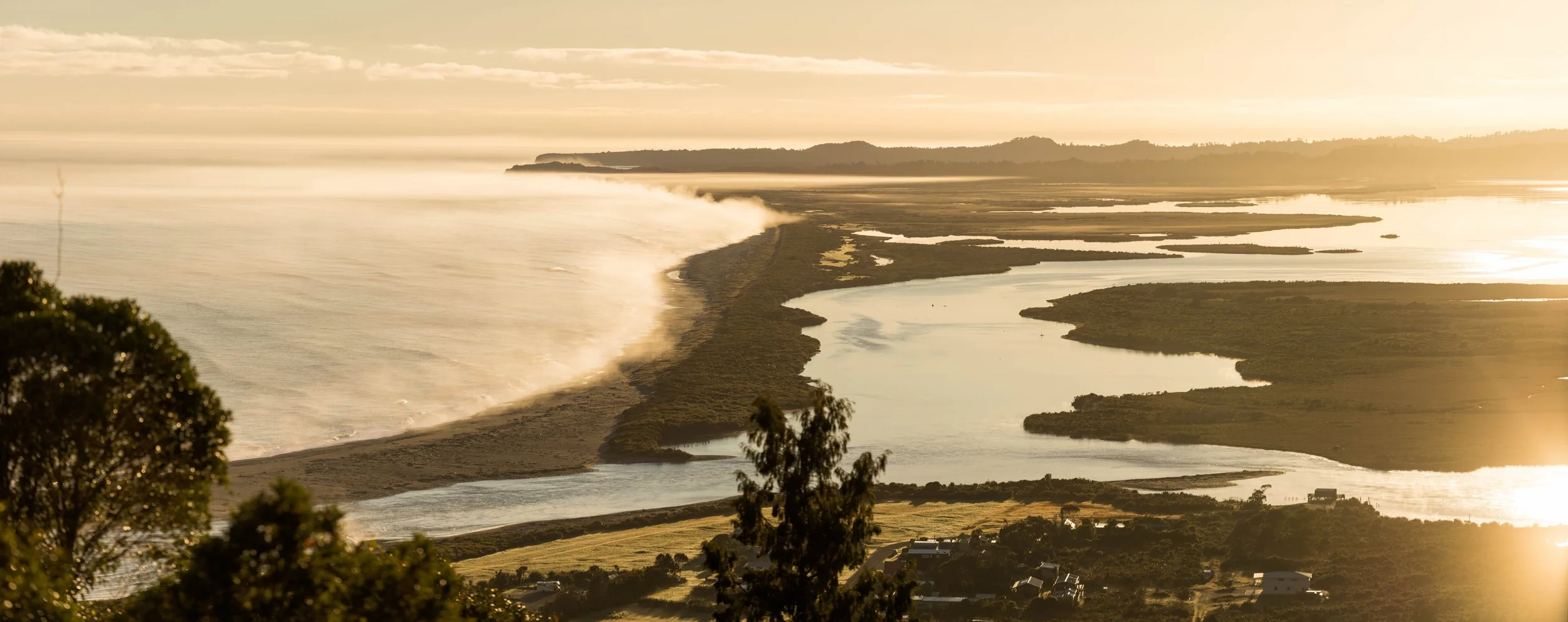 Using a Thermal Drone to Detect Invasive Predators in Coastal Environments 