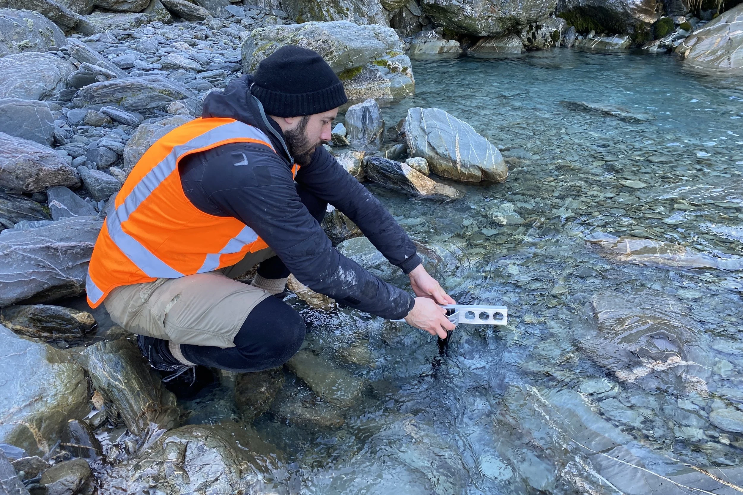 Vacancy: Science and Technical Advisor - Wellington