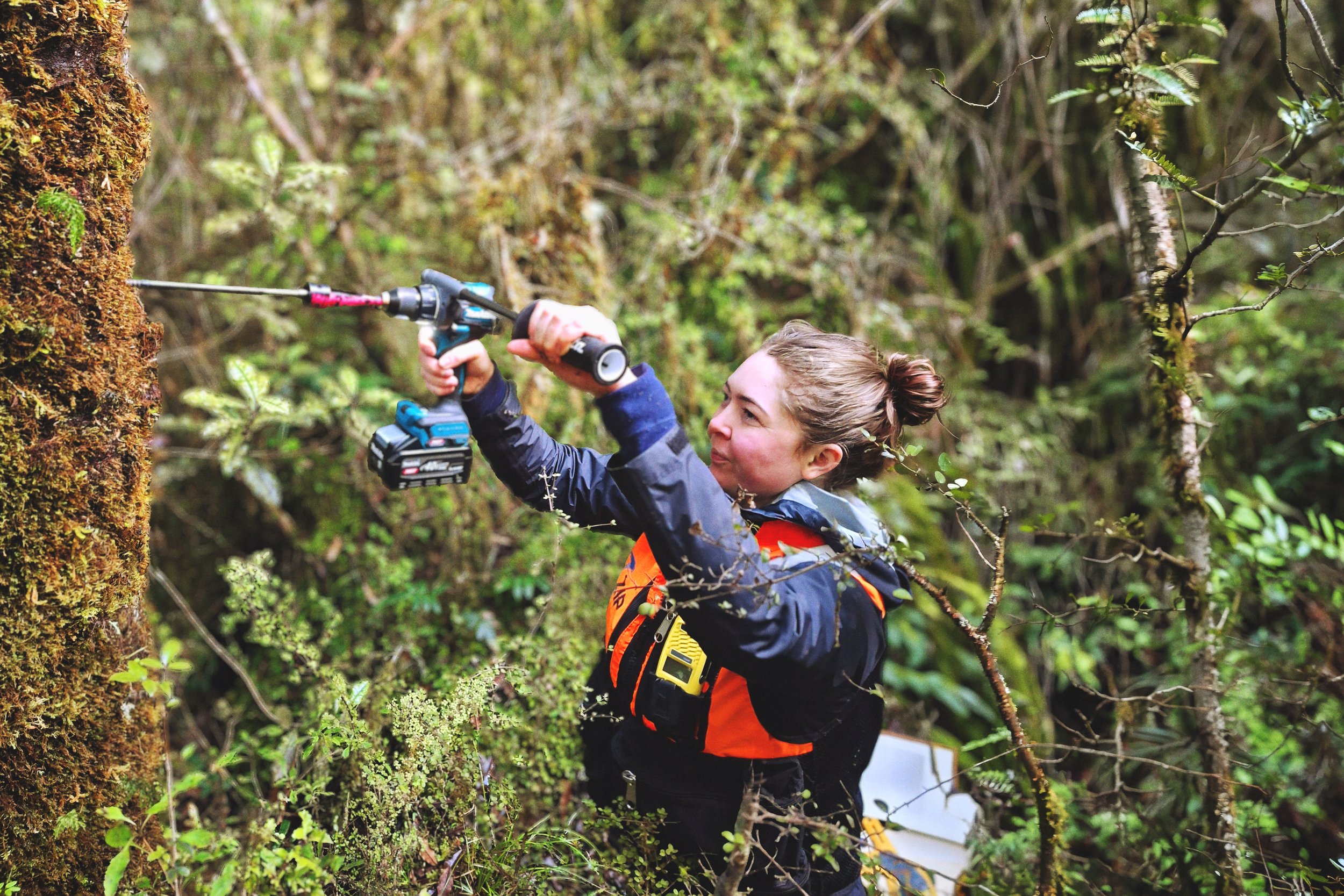 Maggie Nicholls - Tree Coring 1.jpg