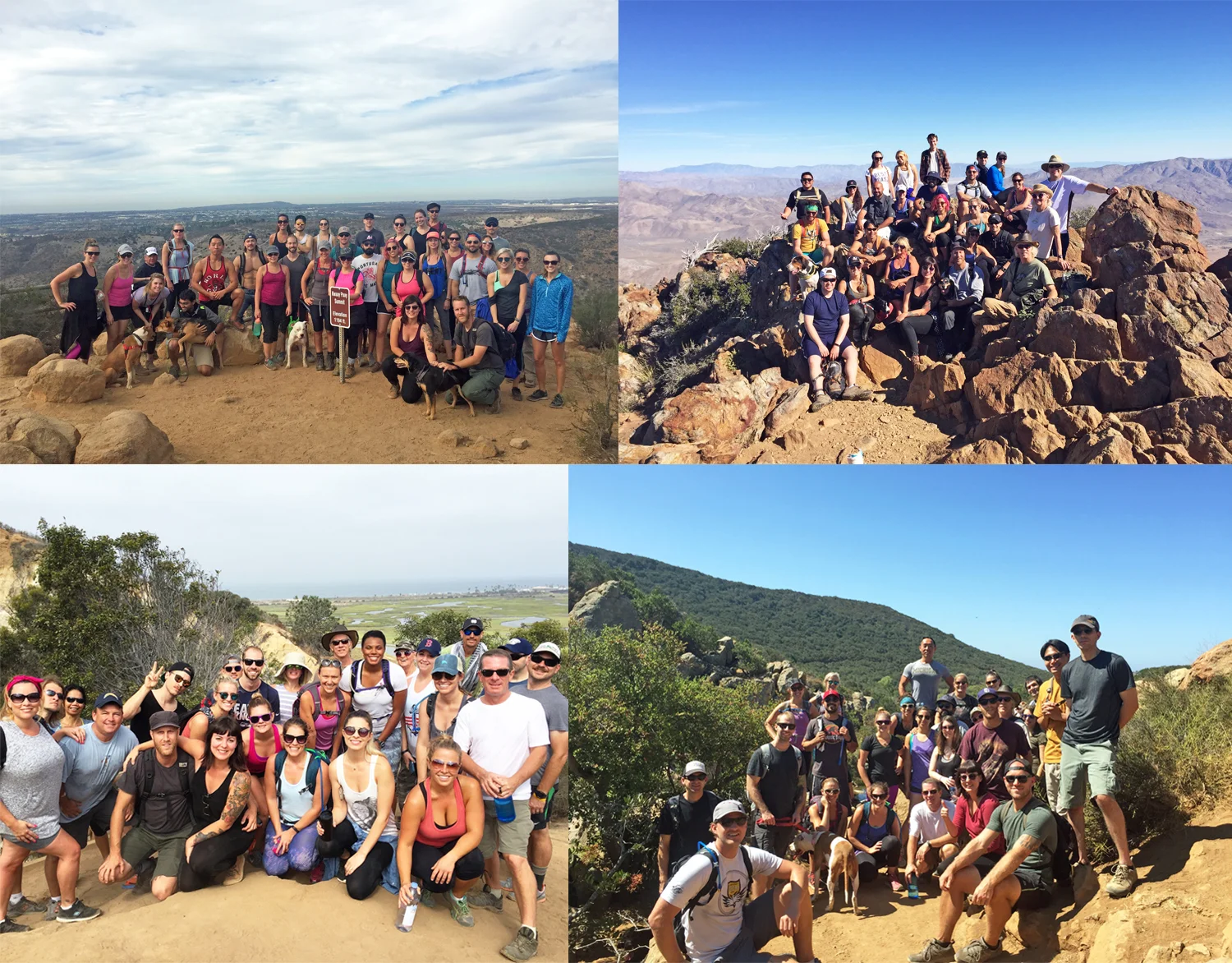 Hike+Brew.jpg