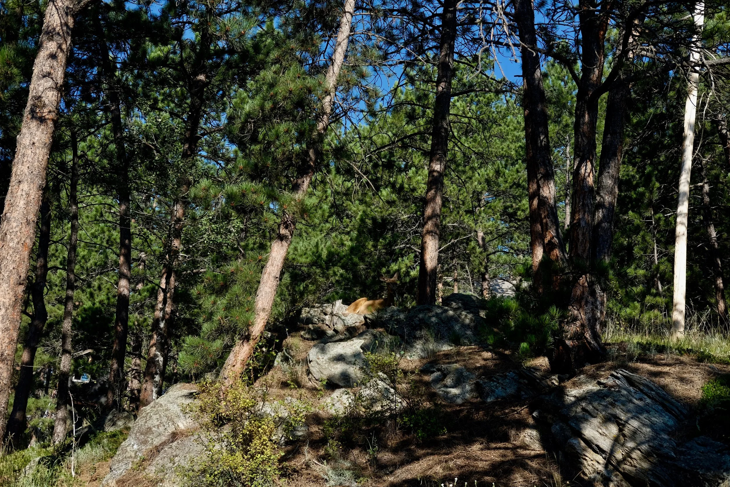 DSCF4272.jpg