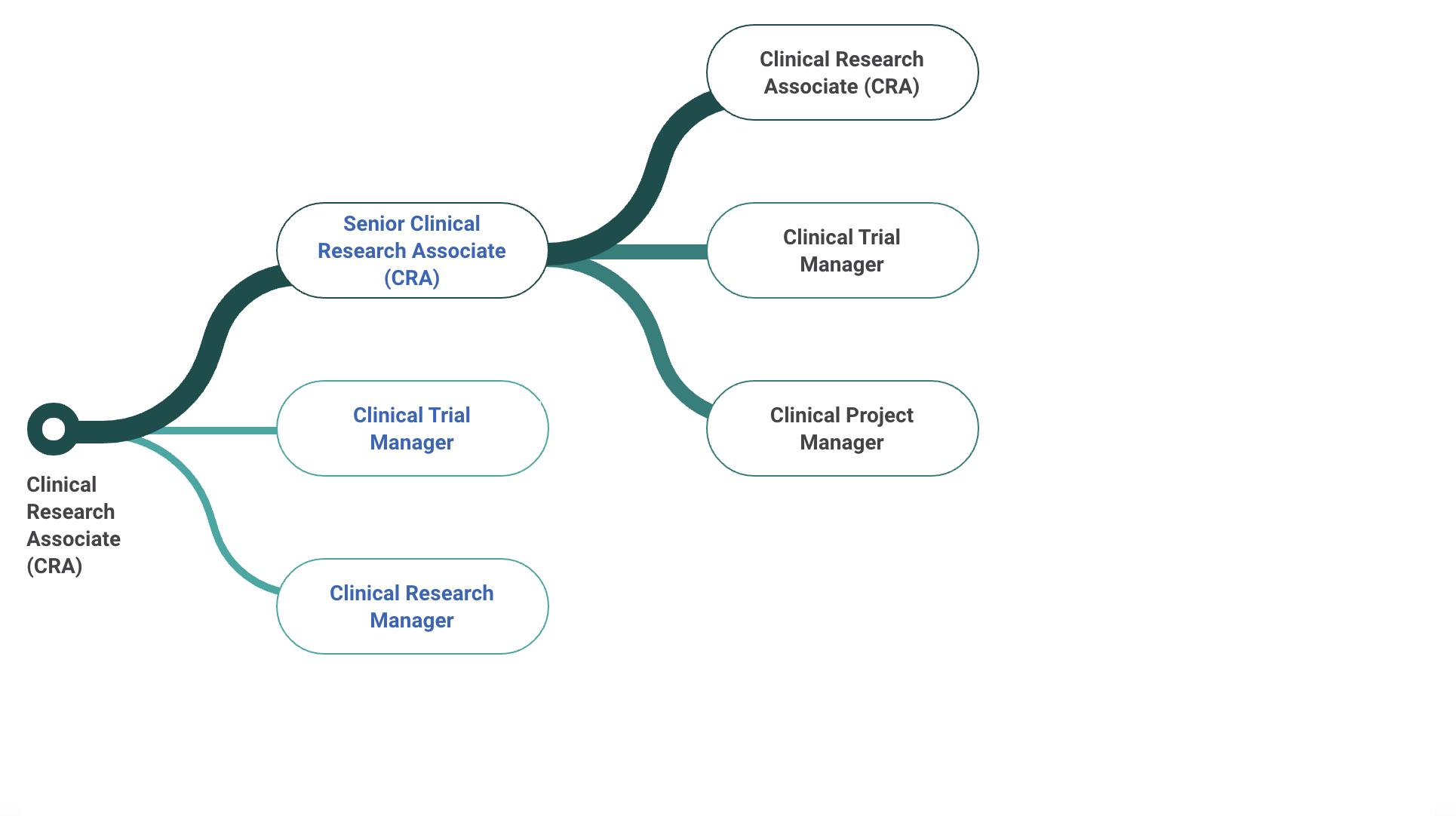 senior clinical research associate ii salary