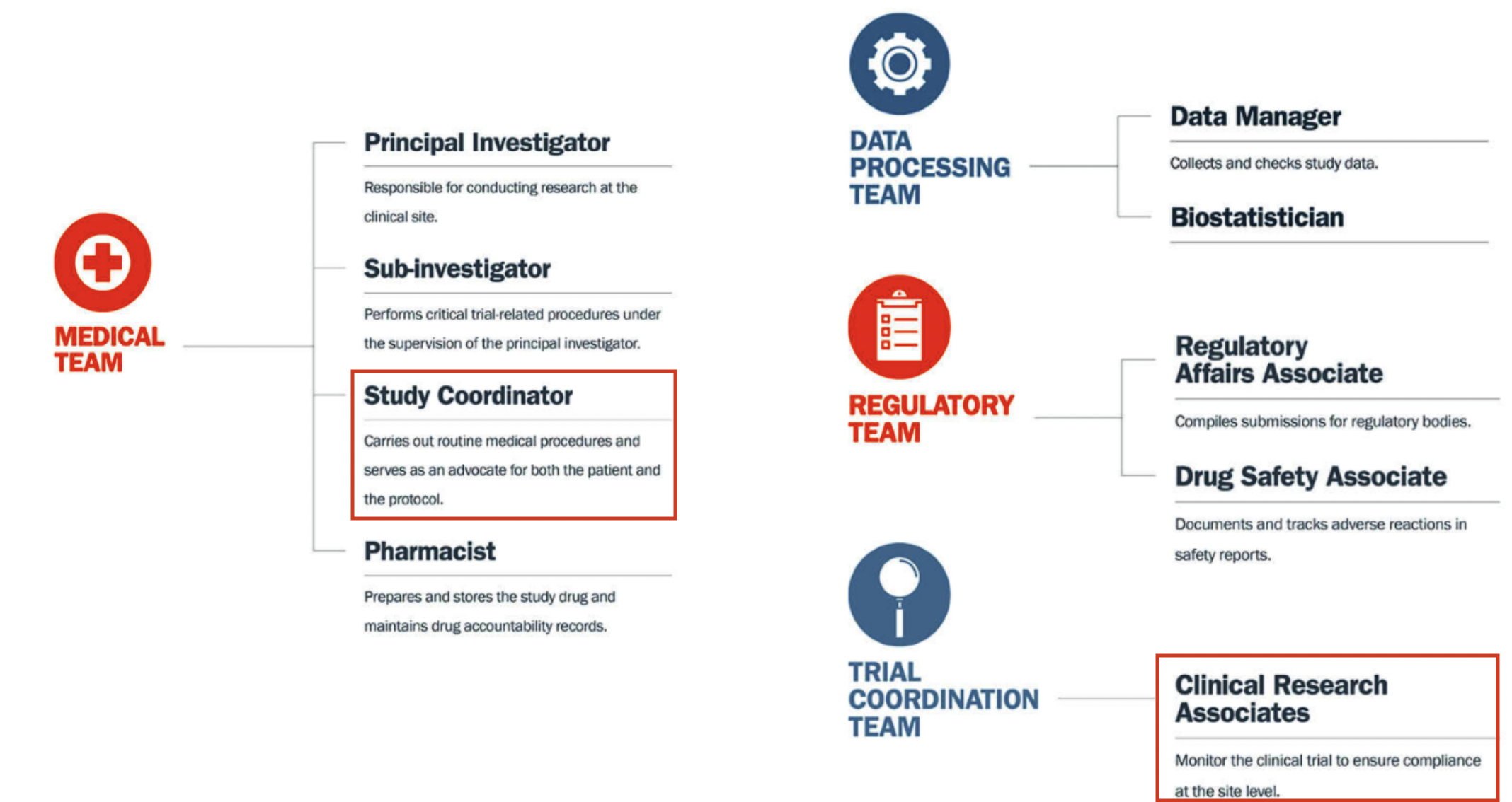 Who makes up the research team?