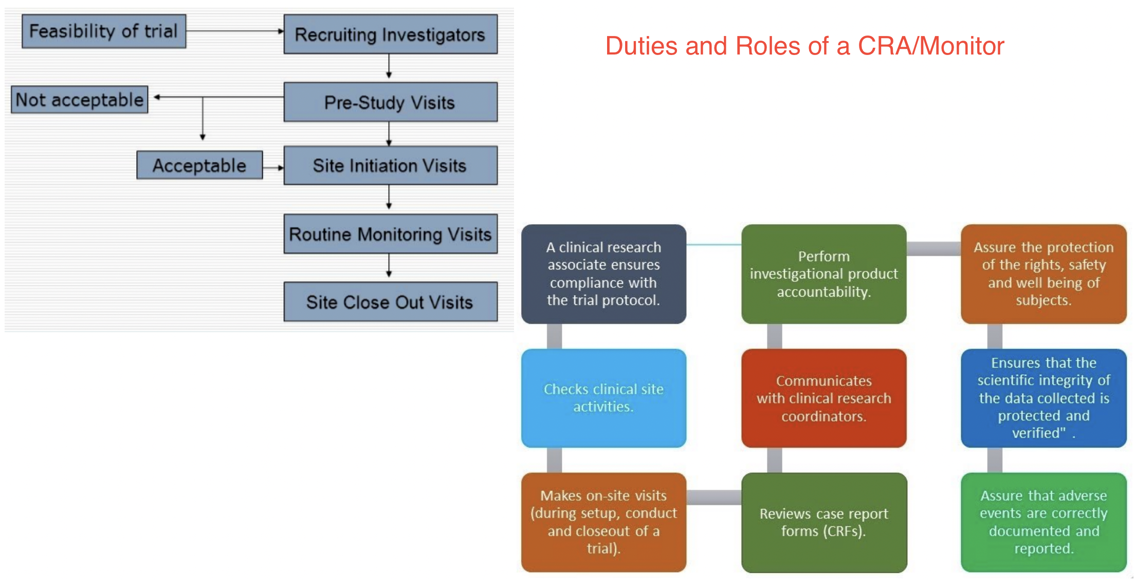 clinical research associate vs regulatory affairs