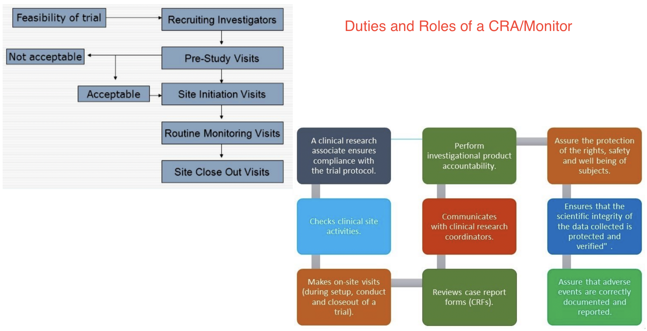 clinical research associate vs coordinator