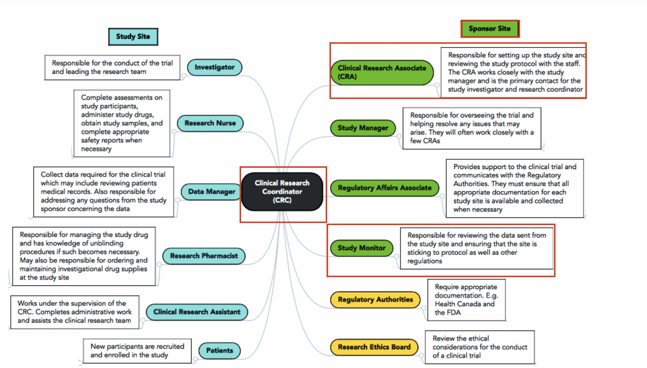 Site (CRC) vs. Sponsor (CRA)