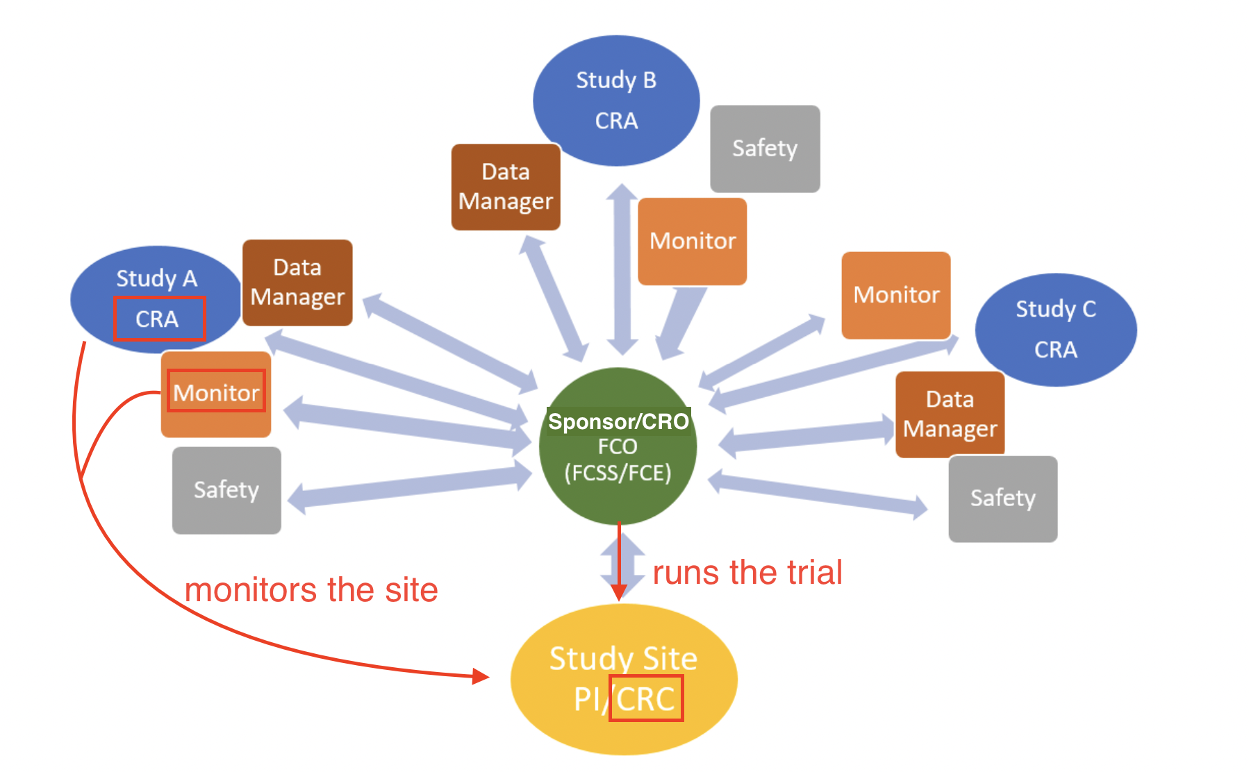 clinical research associate vs coordinator